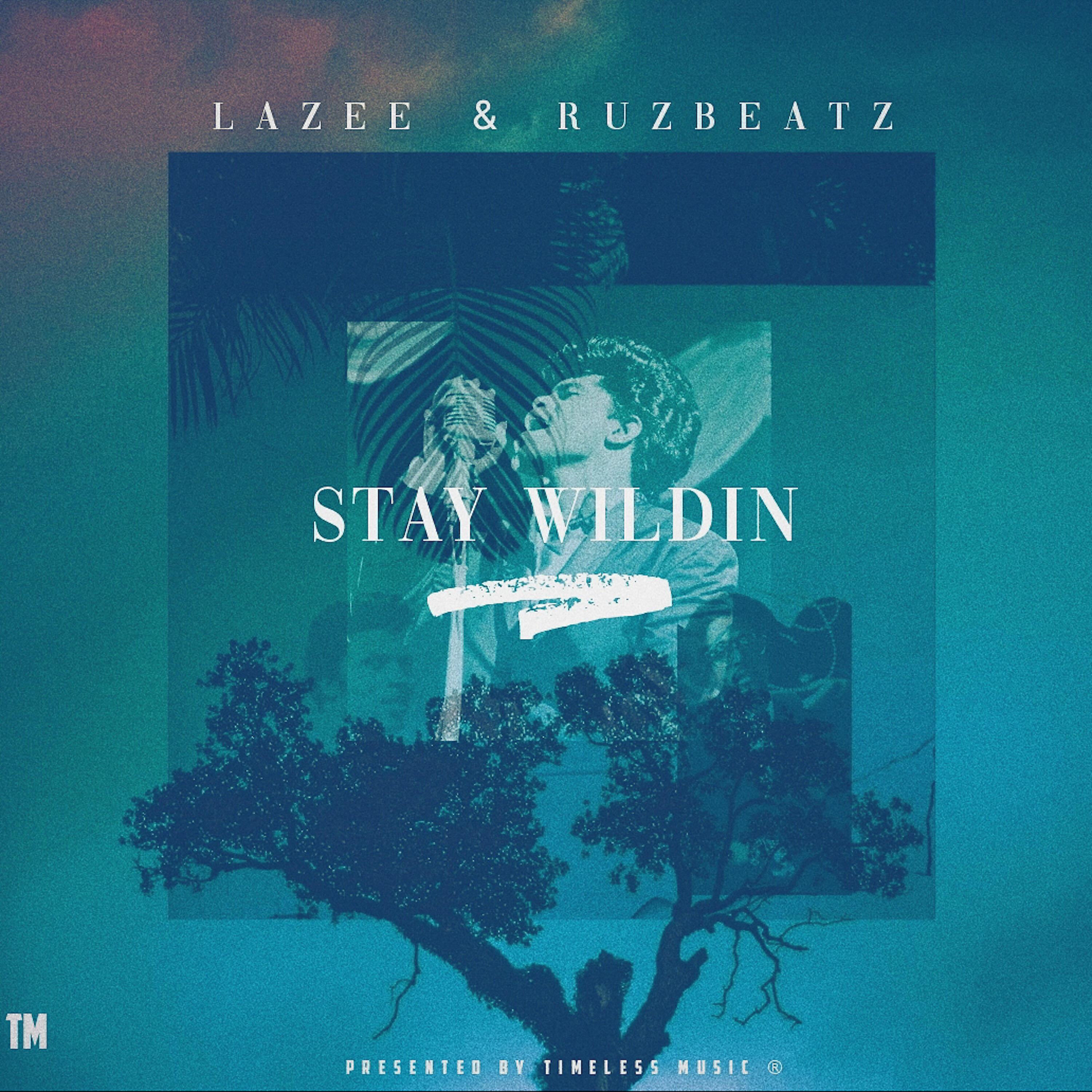 Ruz Beatz - Stay Wildin' (Single)