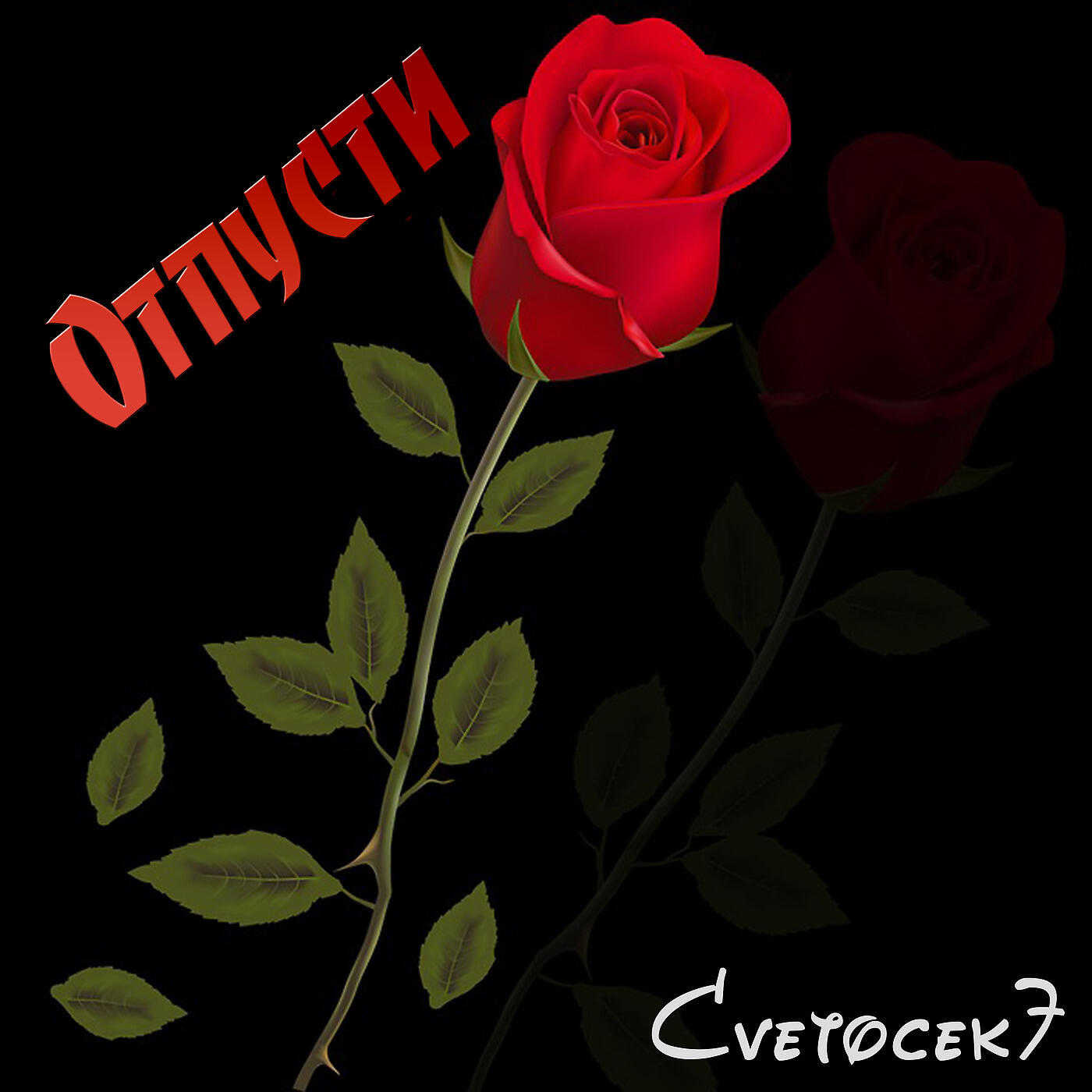 CVETOCEK7 - Комета