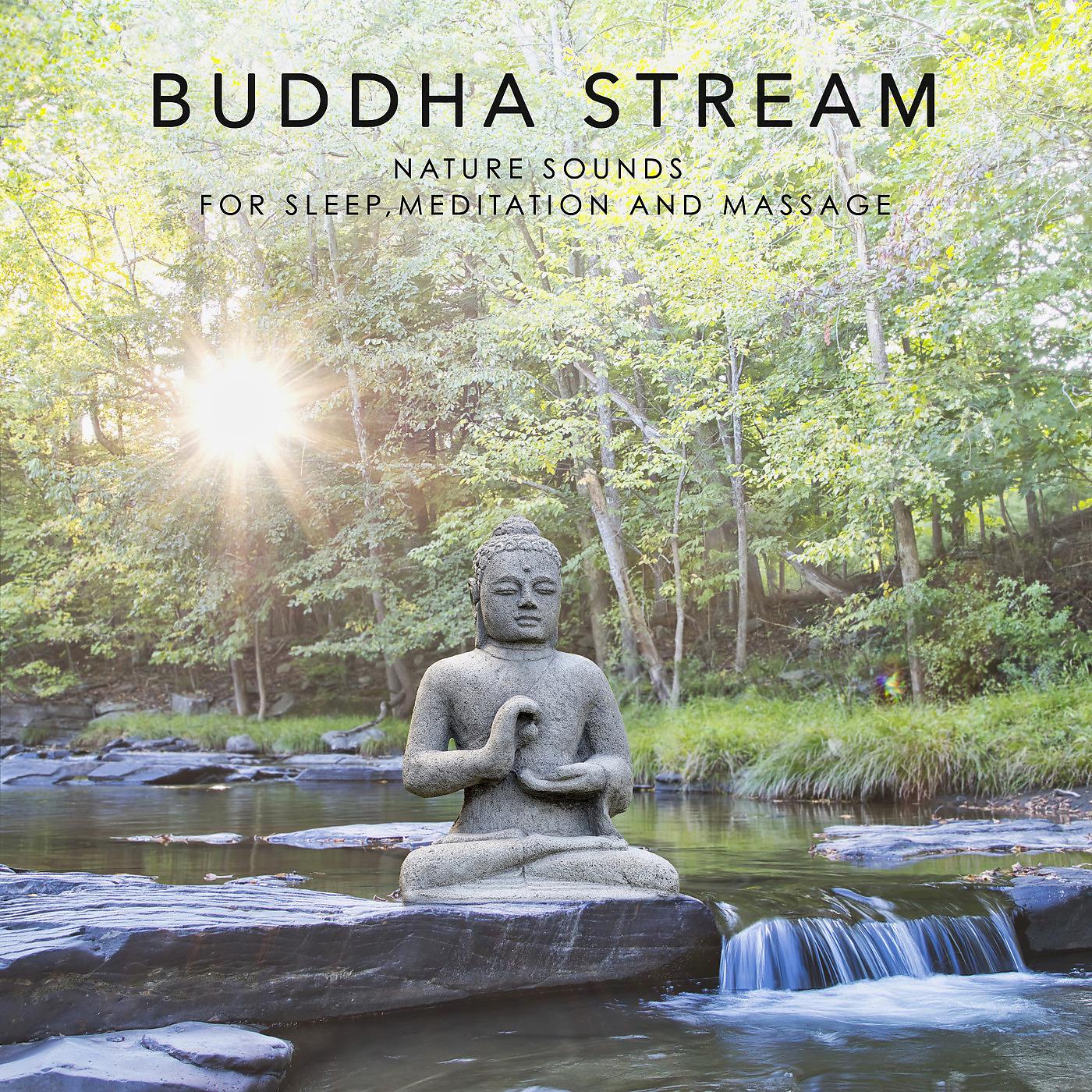 Постер альбома Buddha Stream