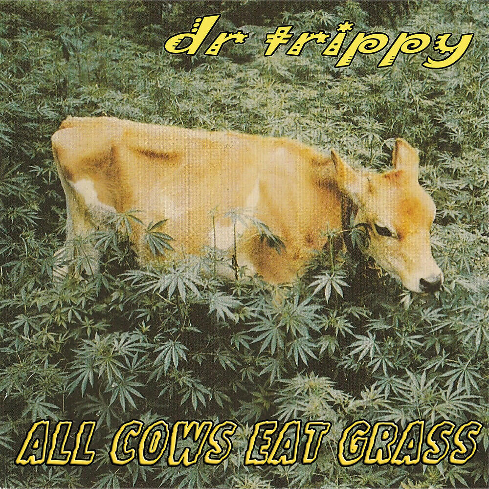 dr trippy - Delysid Dub