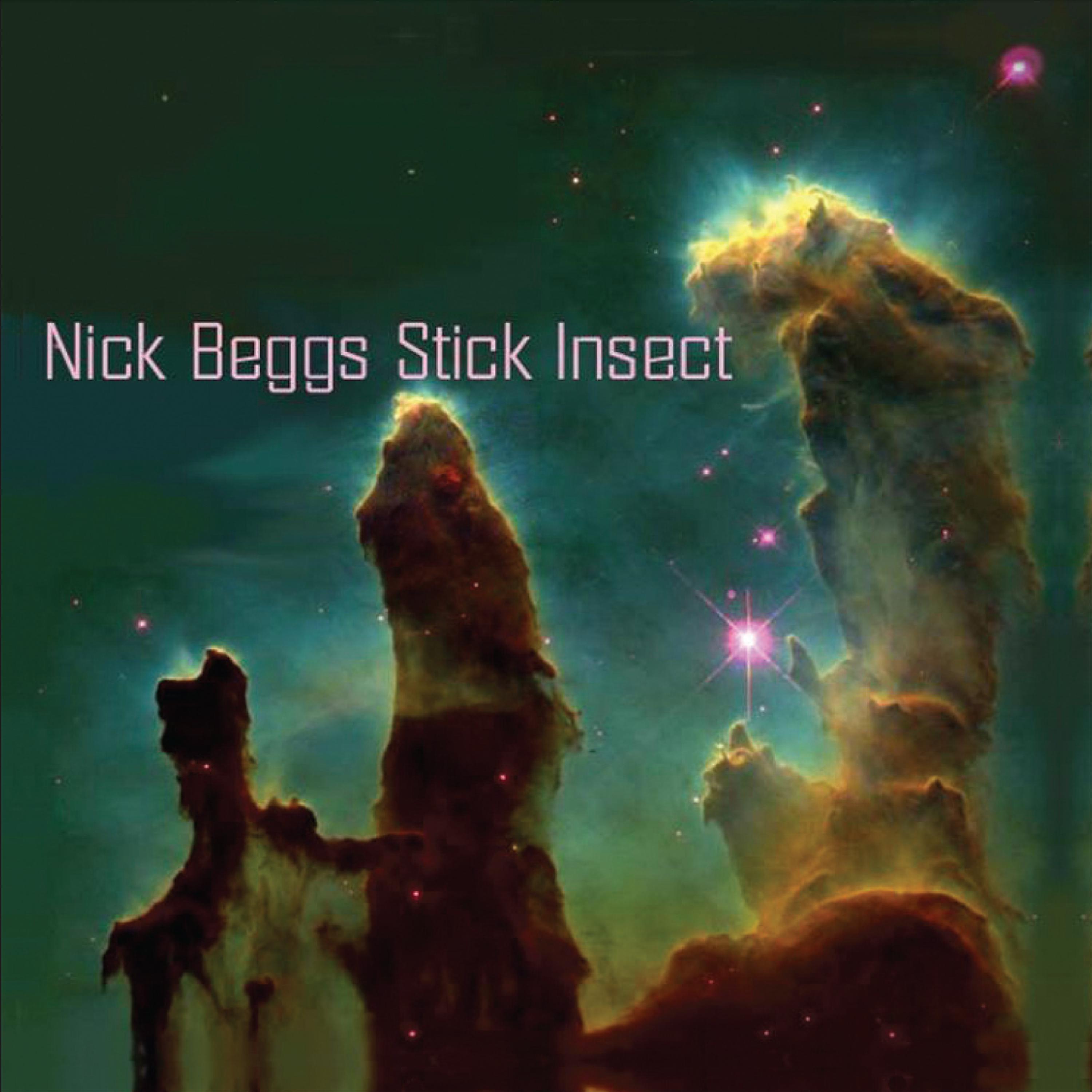 Постер альбома Stick Insect