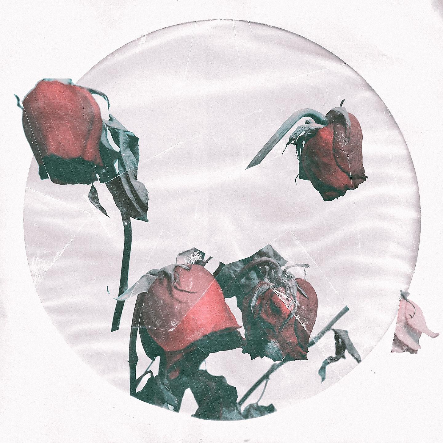 Постер альбома Молодость пахнет розами