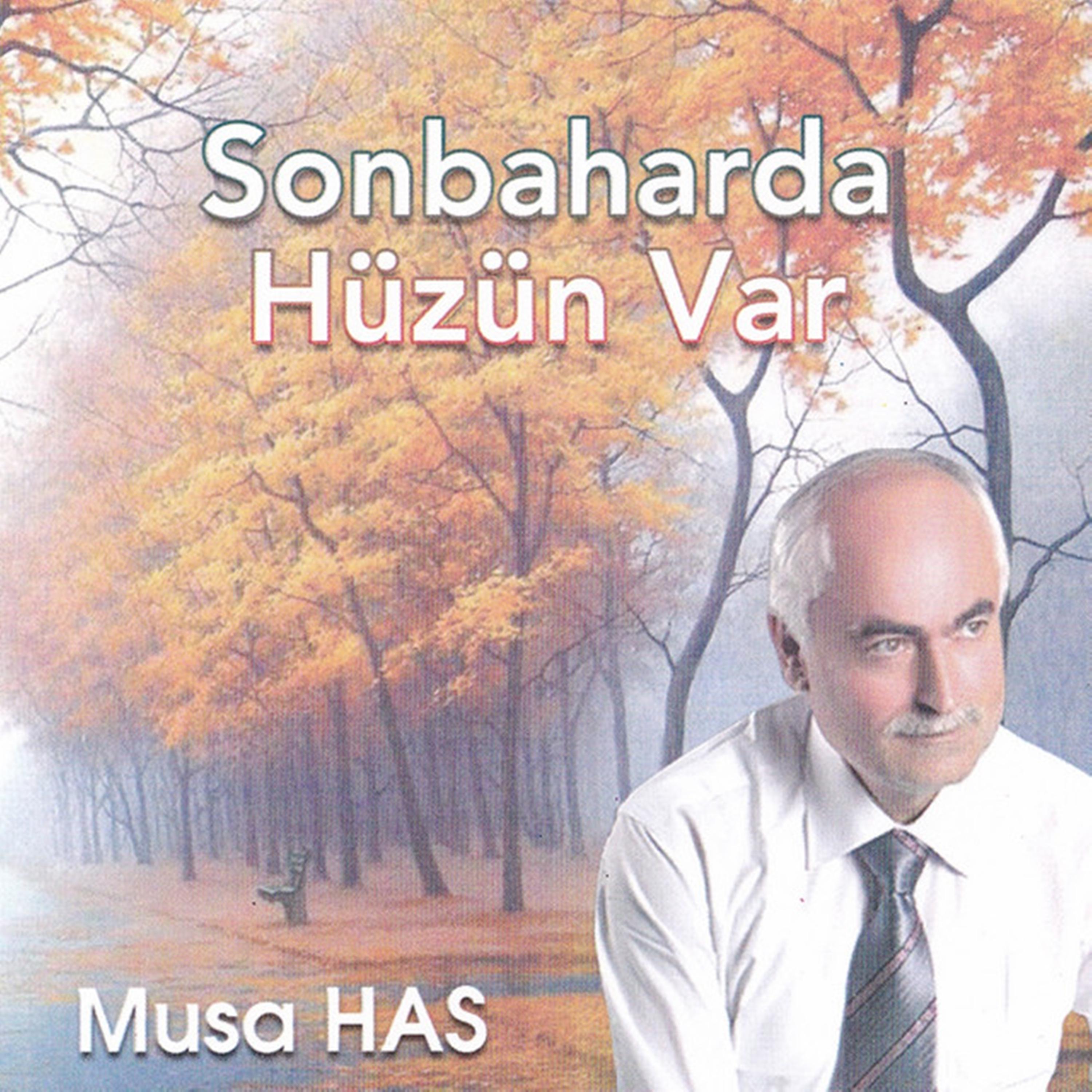 Постер альбома Sonbaharda Hüzün Var