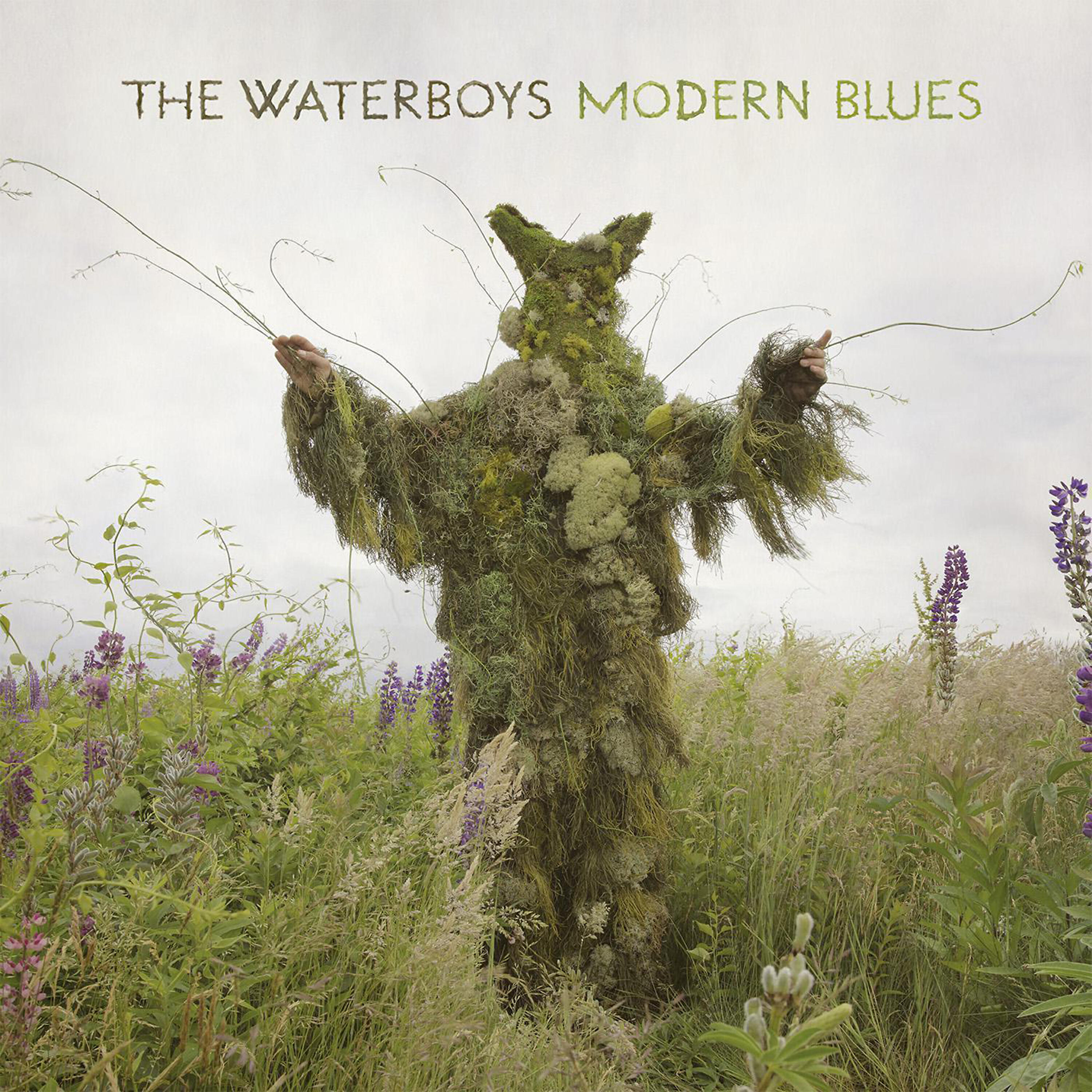 The Waterboys - Rosalind (You Married the Wrong Guy)