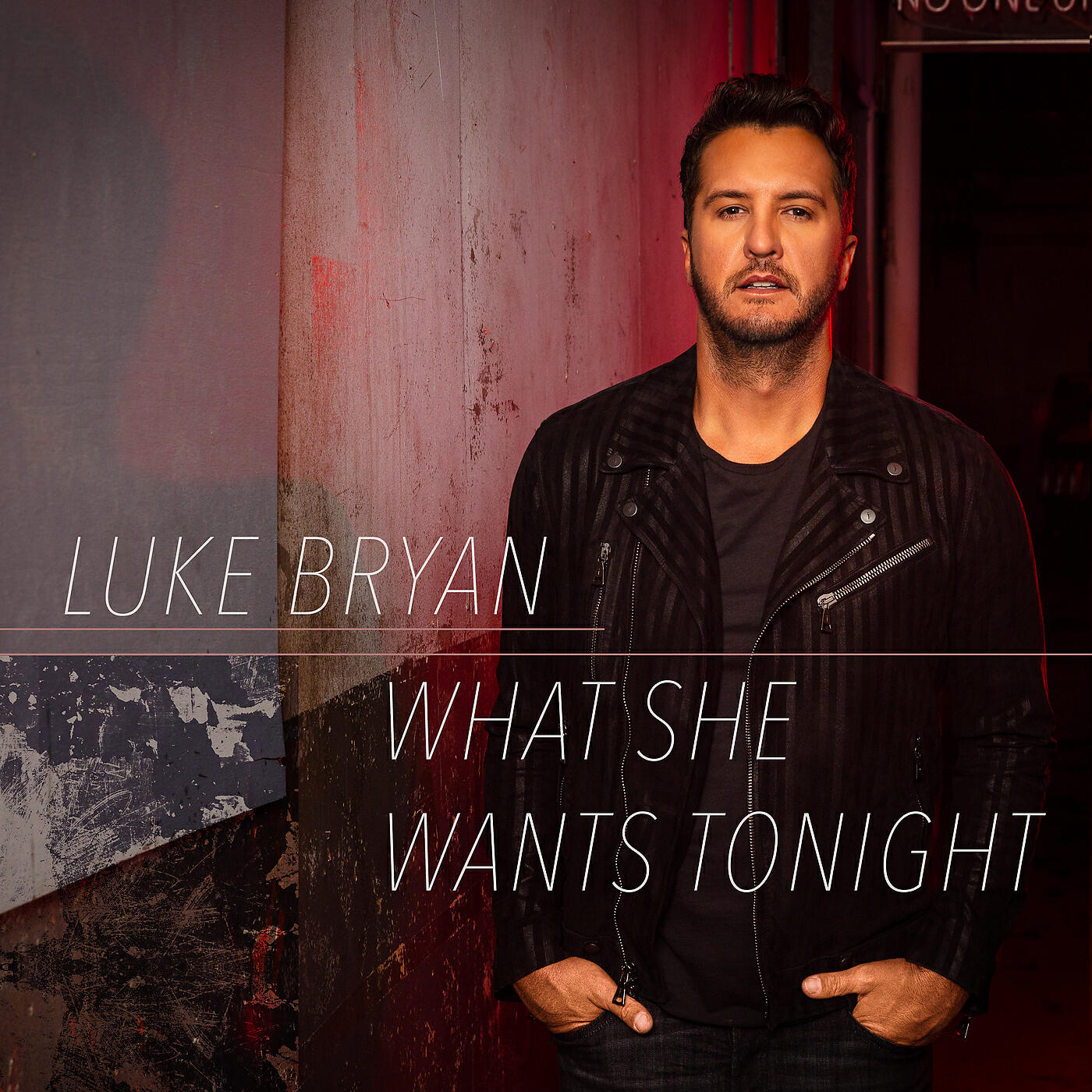Luke Bryan - What She Wants Tonight