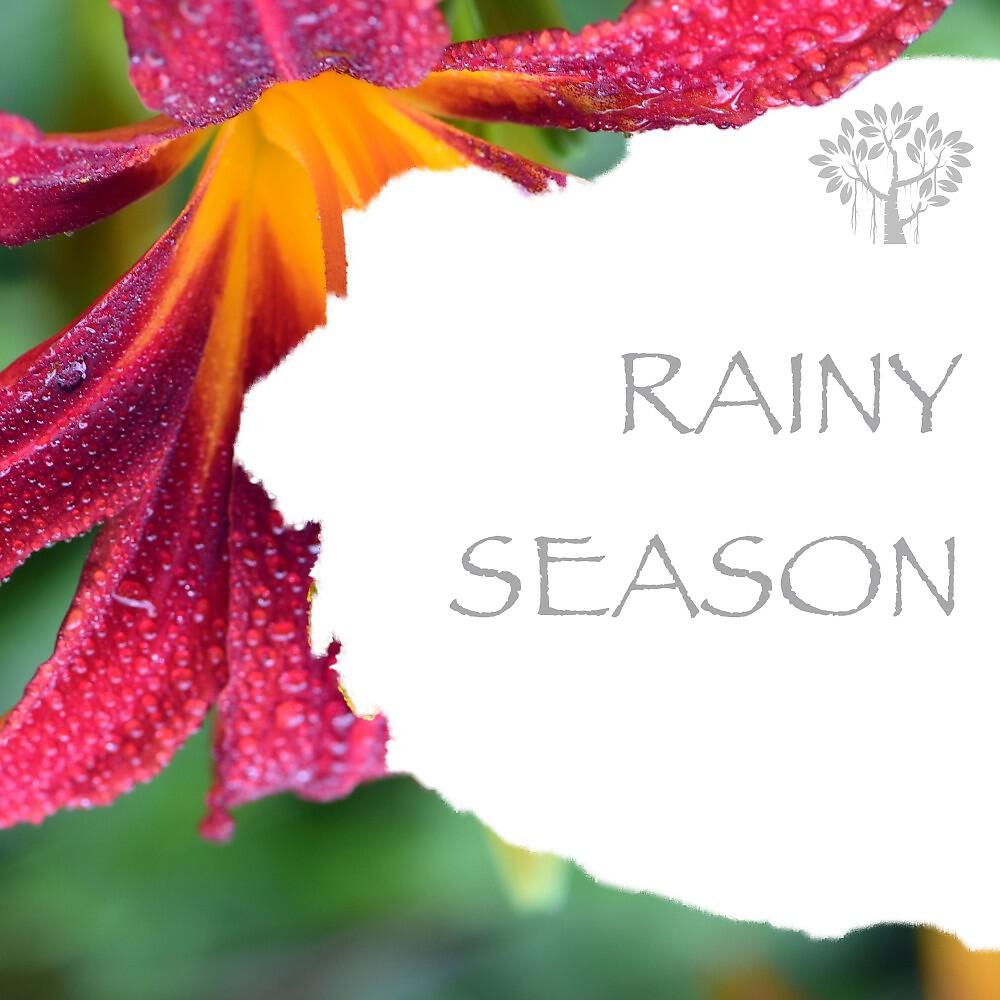 Natural Spirit - Rain Sounds - Zen Rain