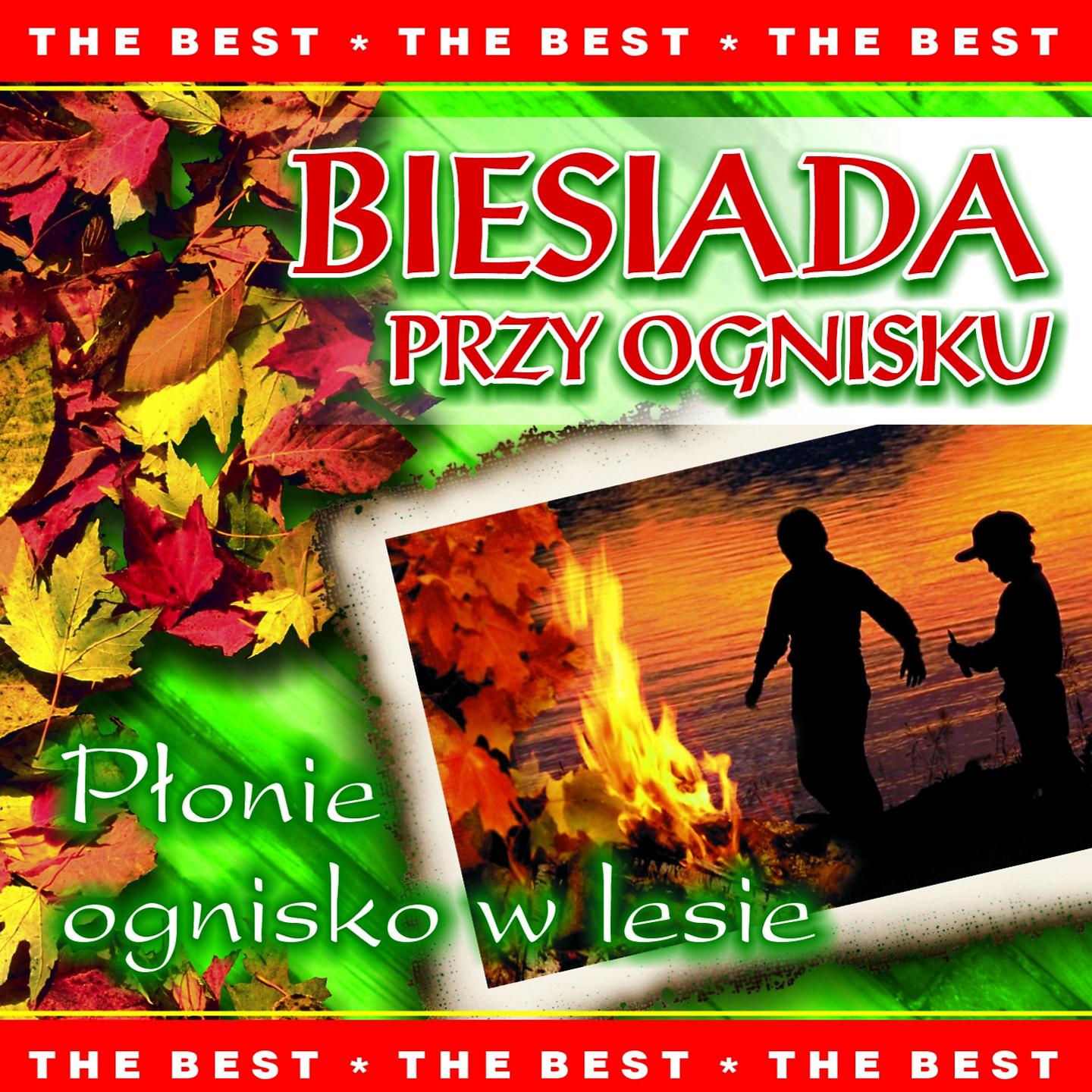 Постер альбома Biesiada przy ognisku - płonie ognisko w lesie