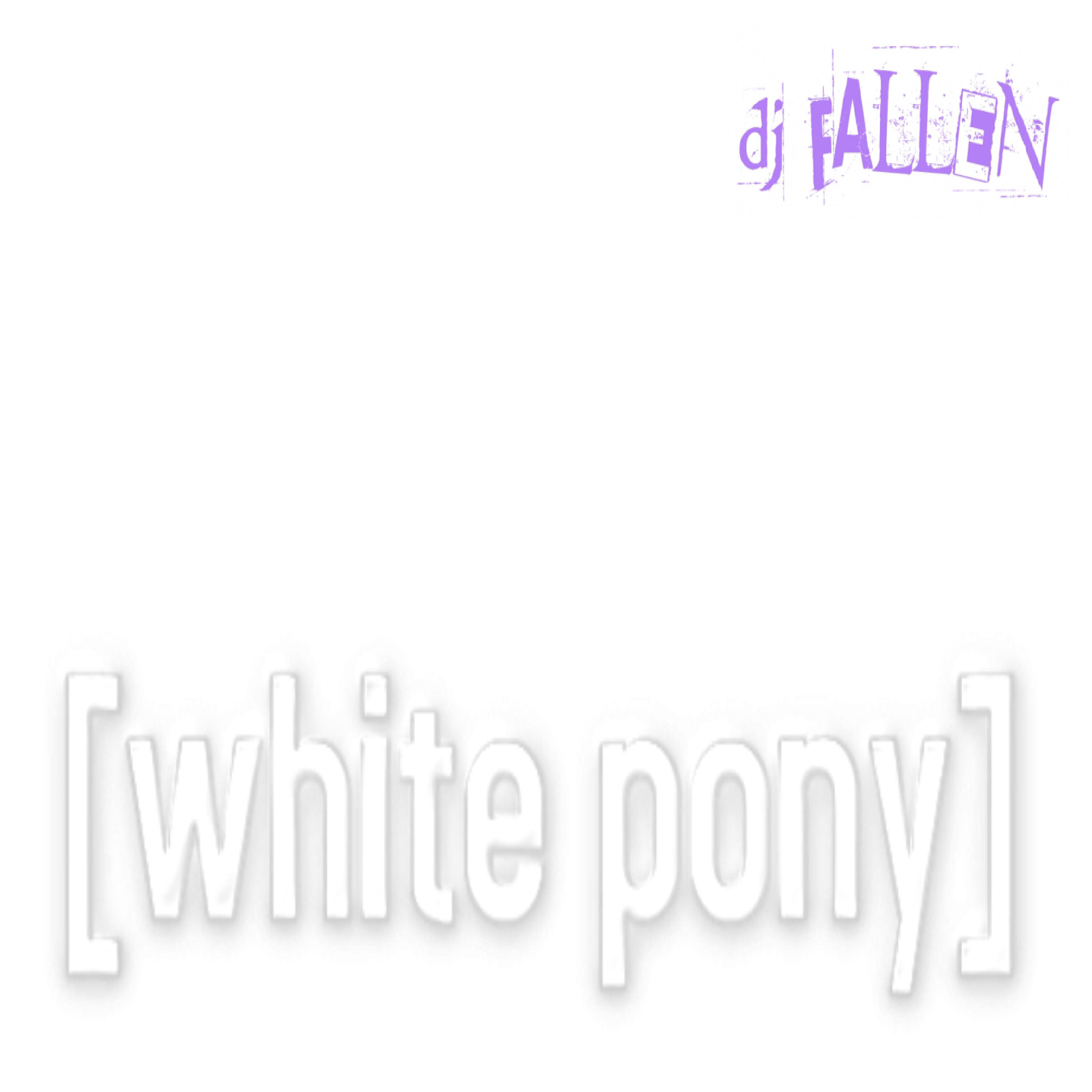 DJ FALLEN - White Pony