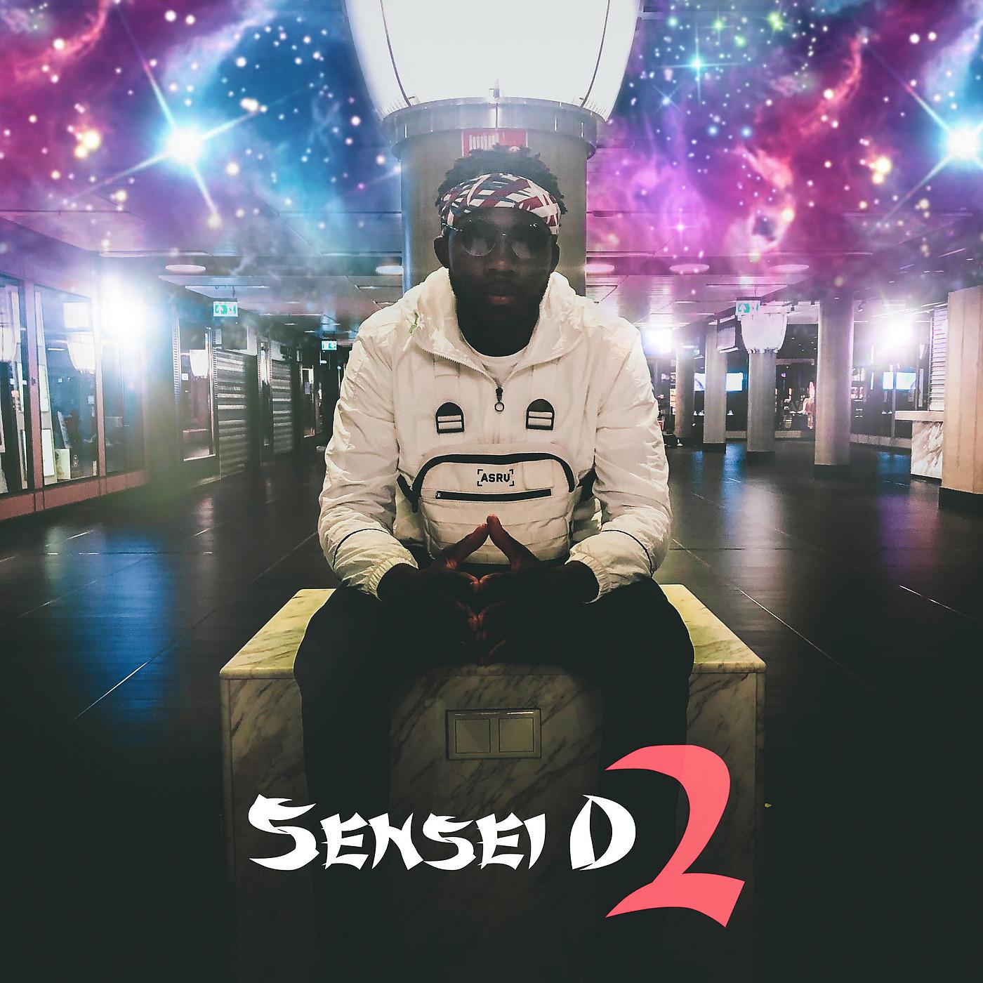 Постер альбома Sensei D 2