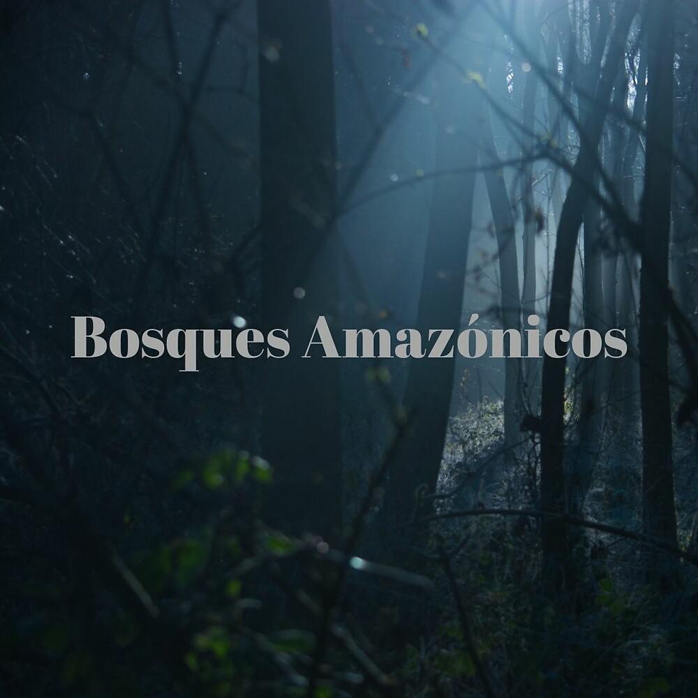 Постер альбома Bosques Amazonicos