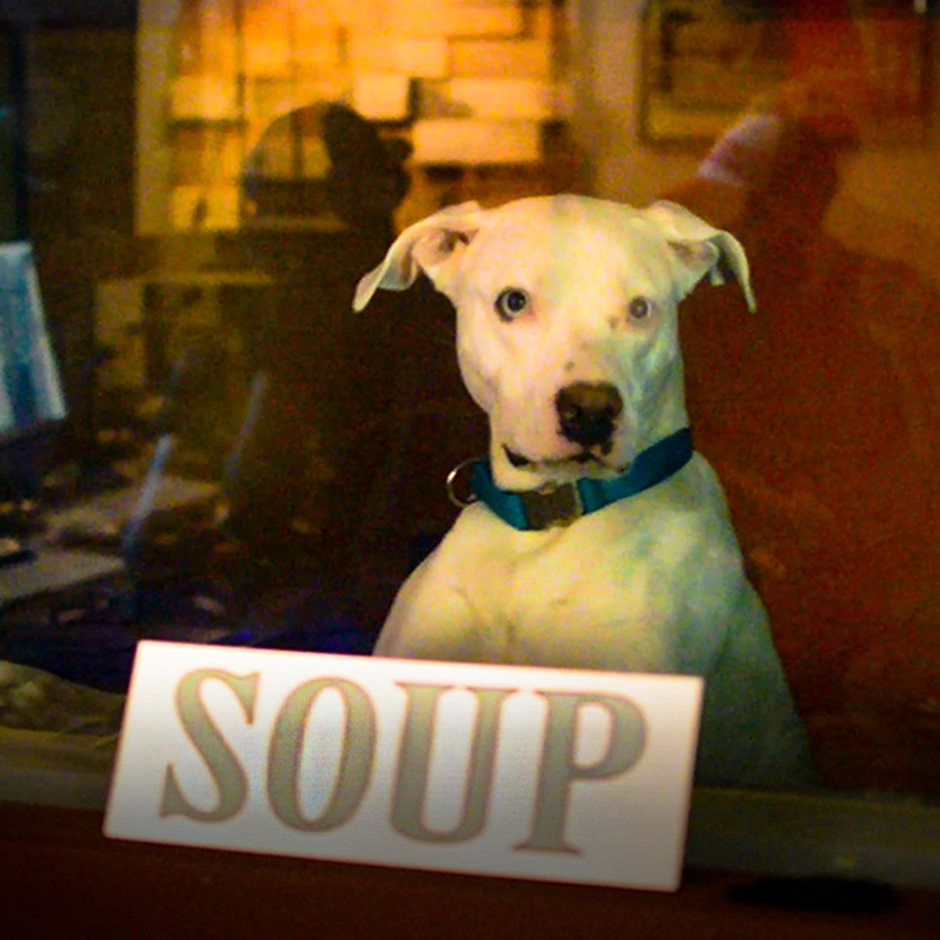 Постер альбома Soup