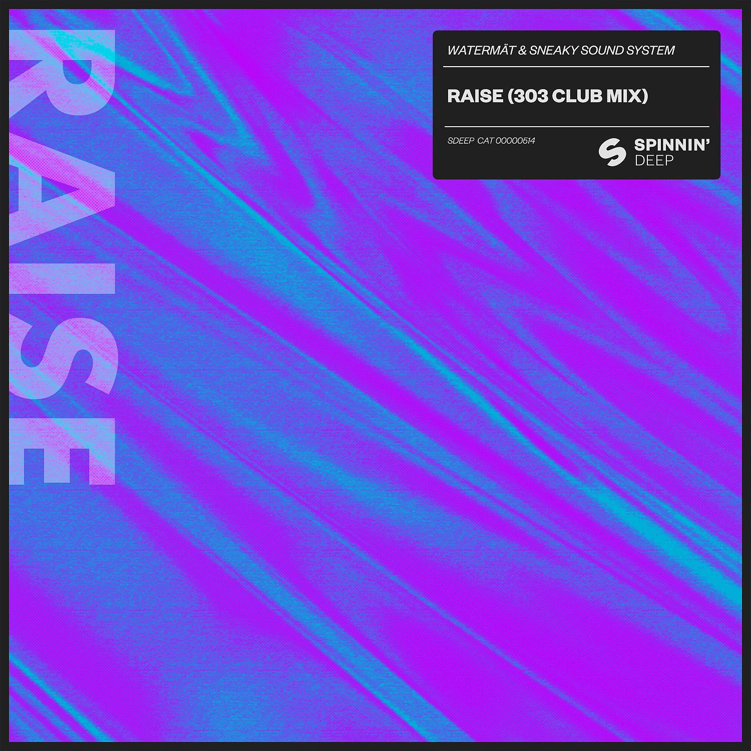 Постер альбома Raise (303 Club Mix)