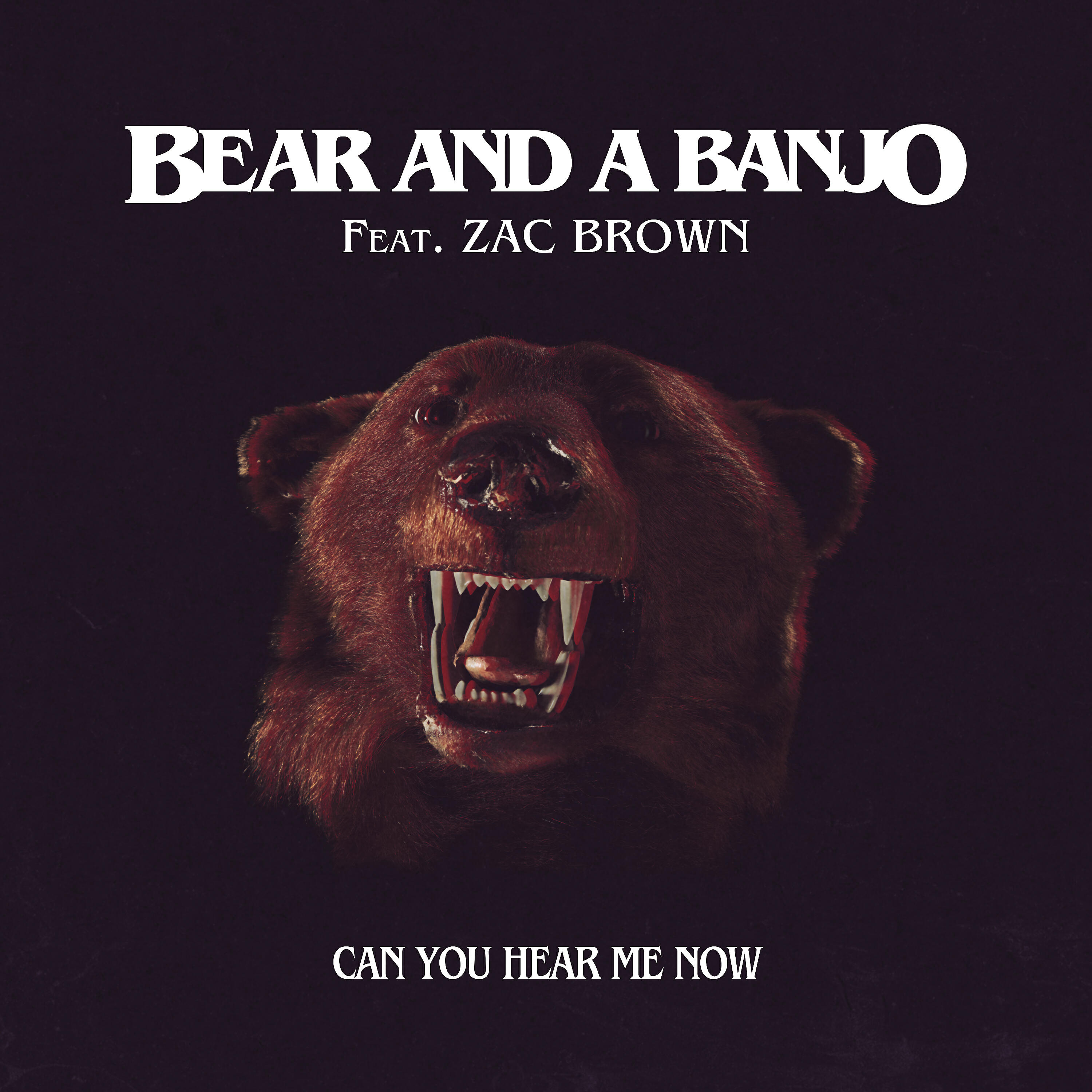 Bear and a Banjo - Can You Hear Me Now (Remix)