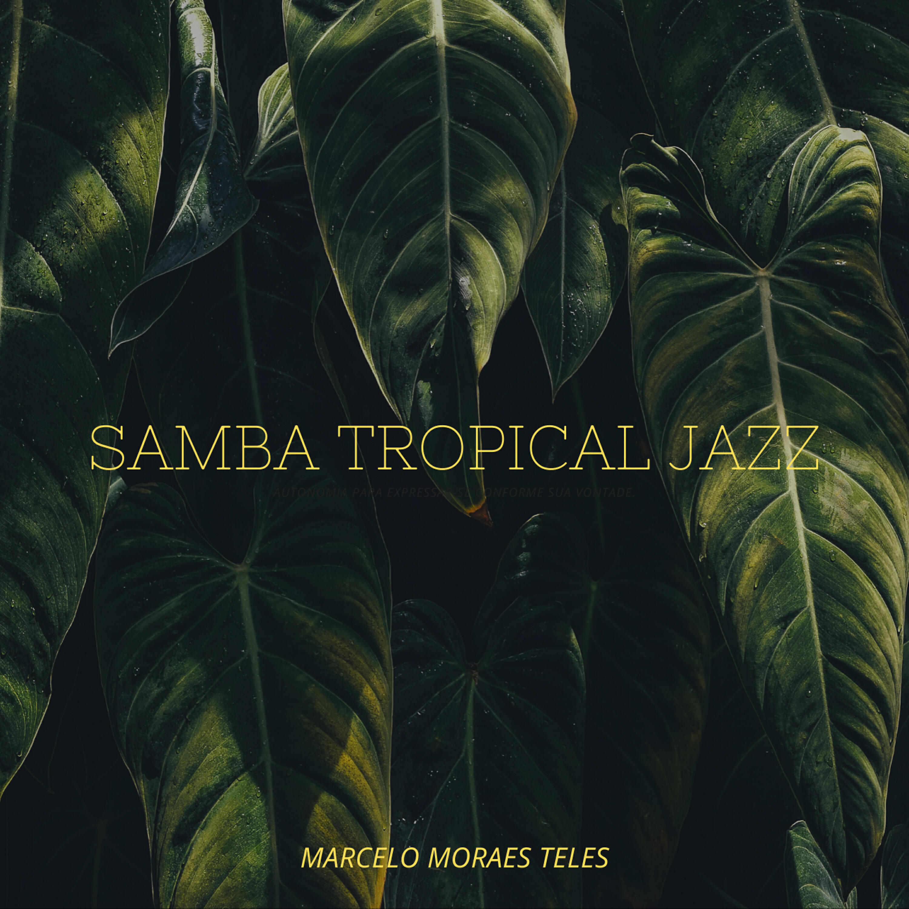 Marcelo Moraes Teles - Samba da Floresta