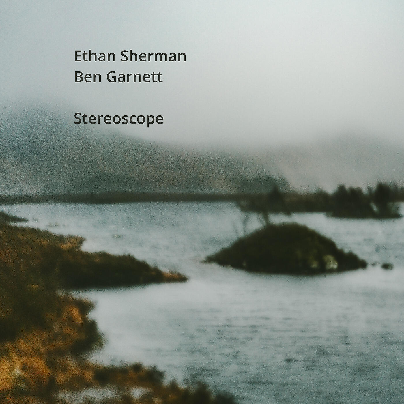 Ethan Sherman - Meadow
