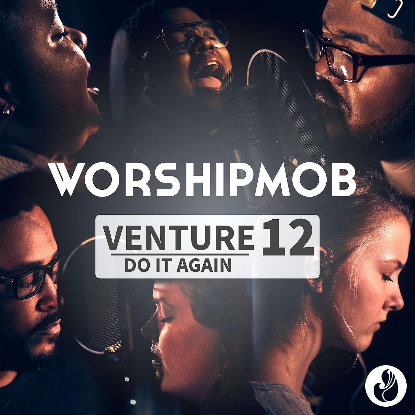 Постер альбома Venture 12: Do It Again