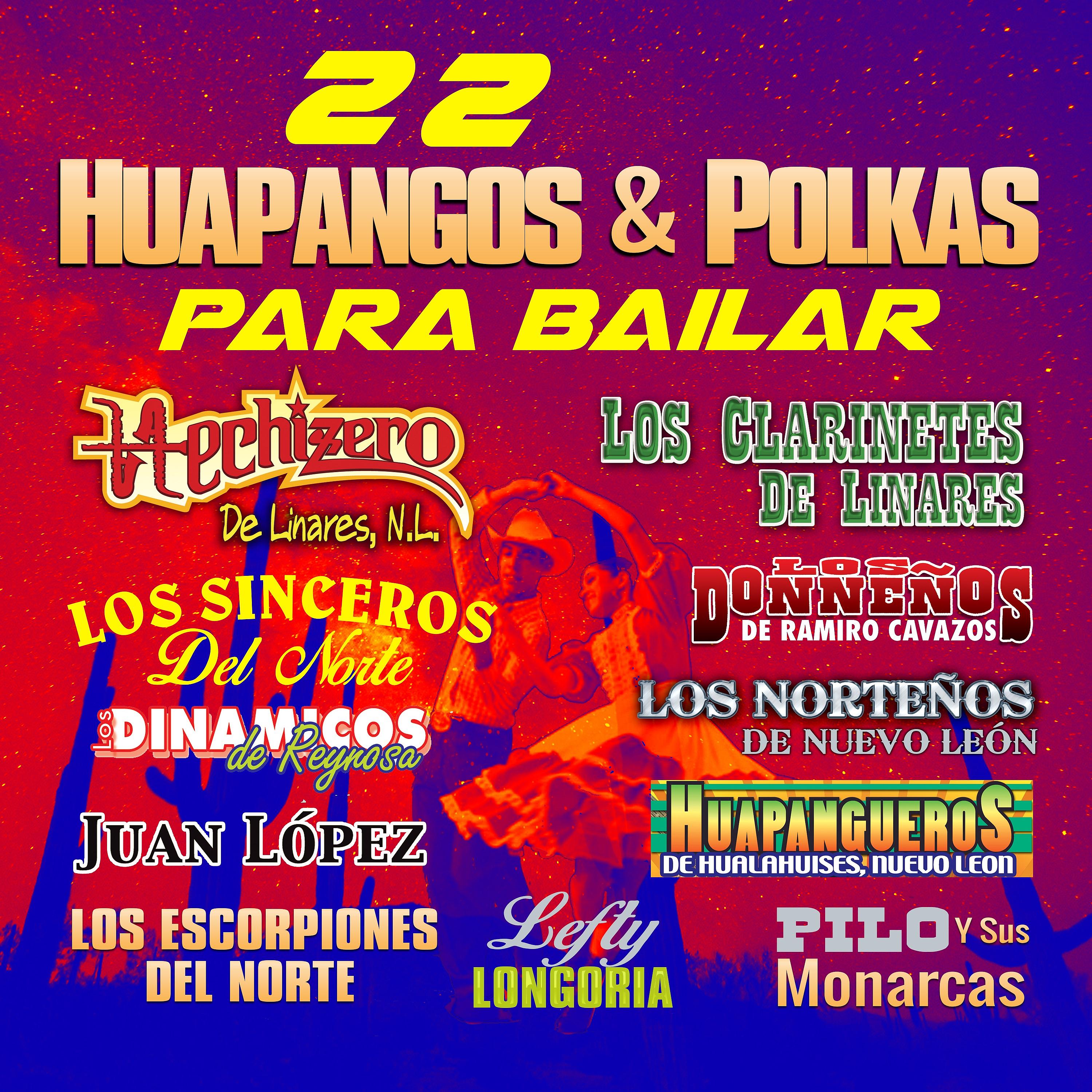 Постер альбома 22 Huapangos y Polkas para Bailar
