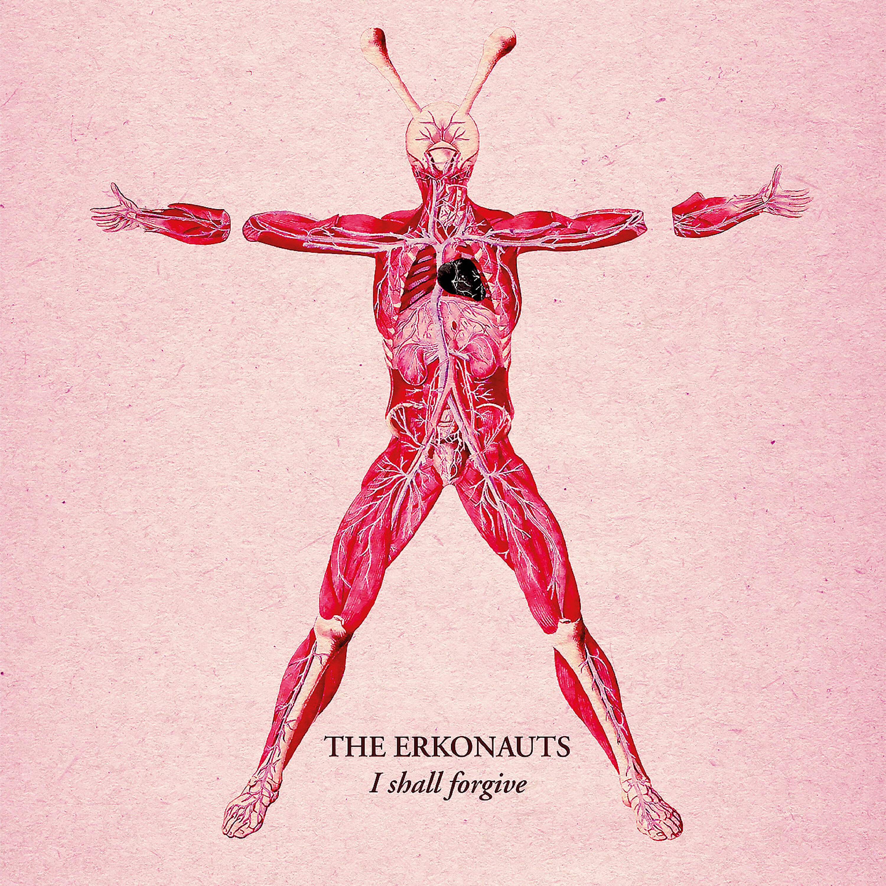The Erkonauts - Seven Macaw