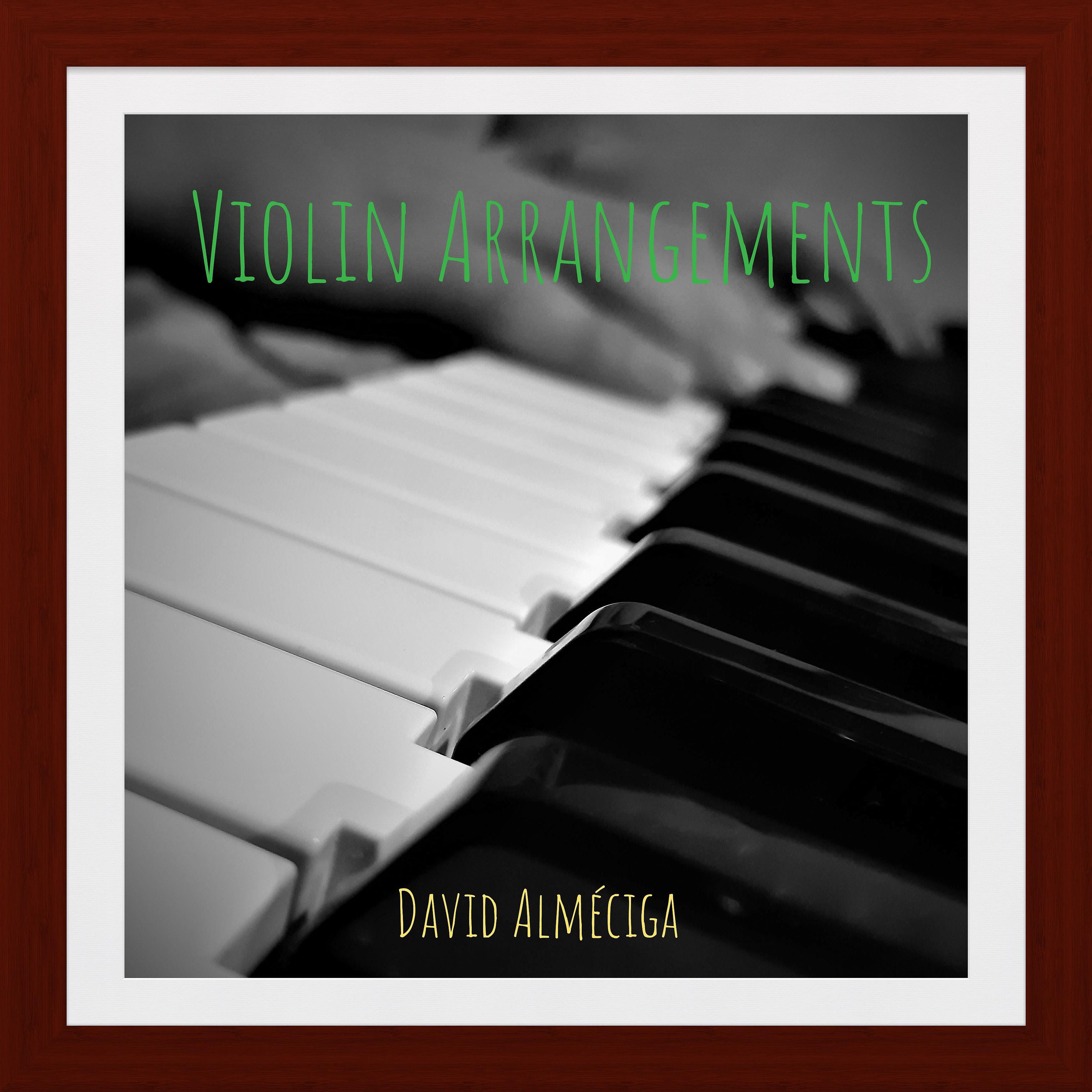 Постер альбома Violin Arrangements