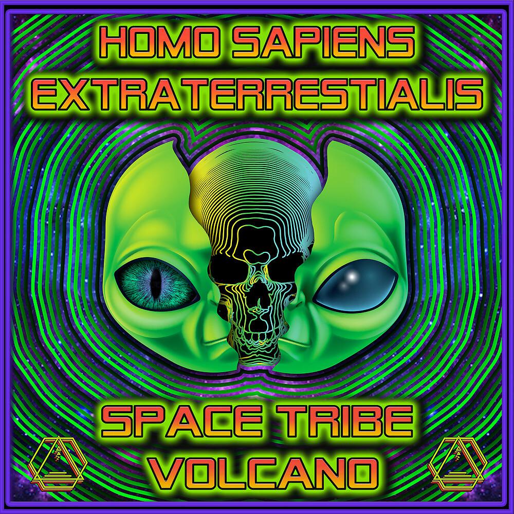 Постер альбома Homo Sapiens Extraterrestrials