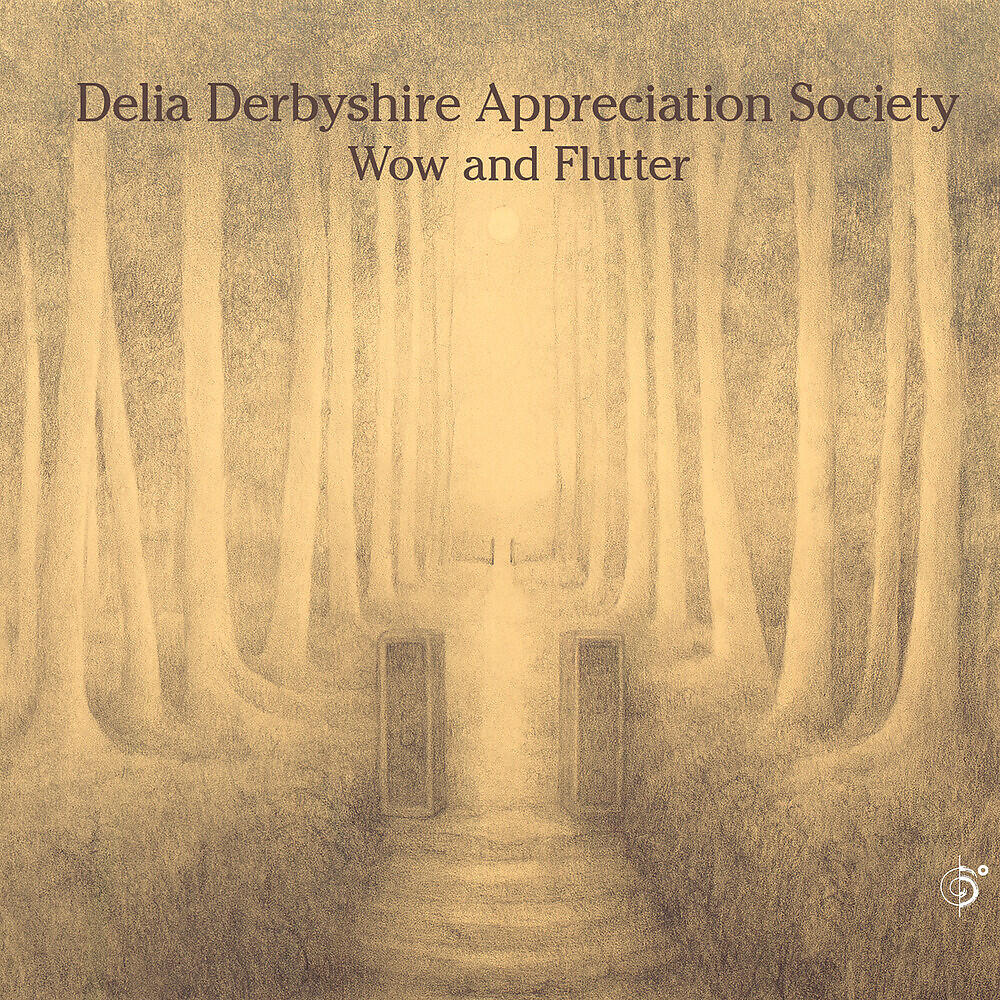 Delia Derbyshire Appreciation Society - The Fireflies of Manhattan