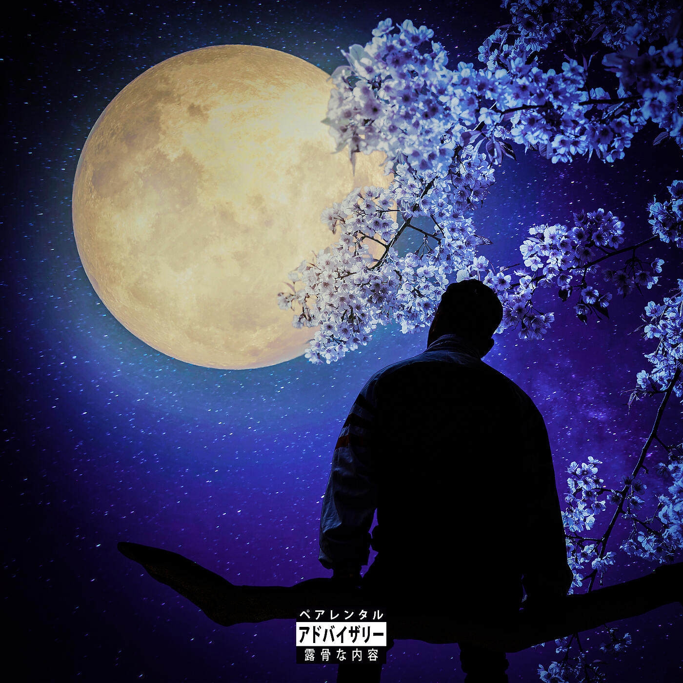 Ardian Bujupi - Luna Night Edition