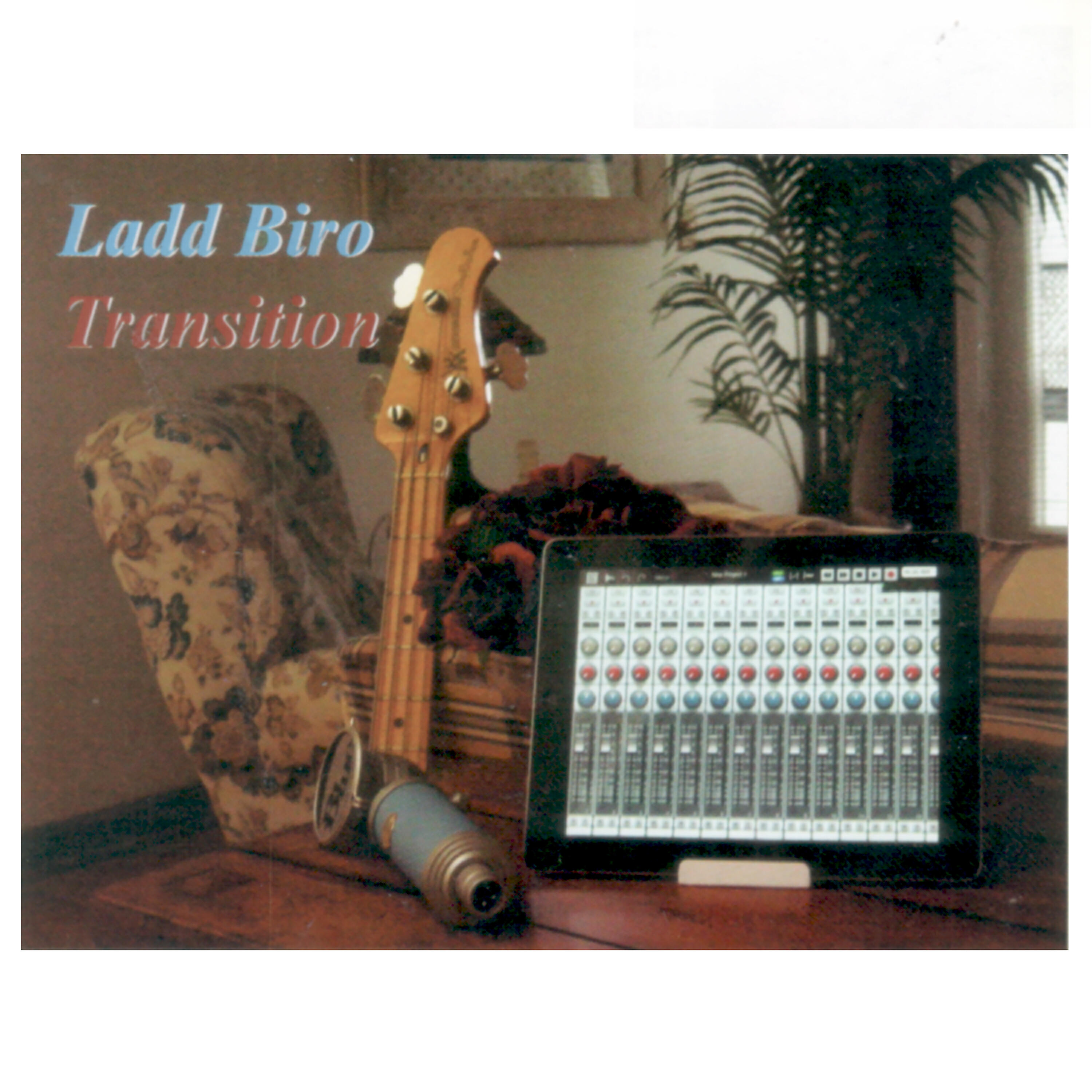Ladd Biro - Way Down South