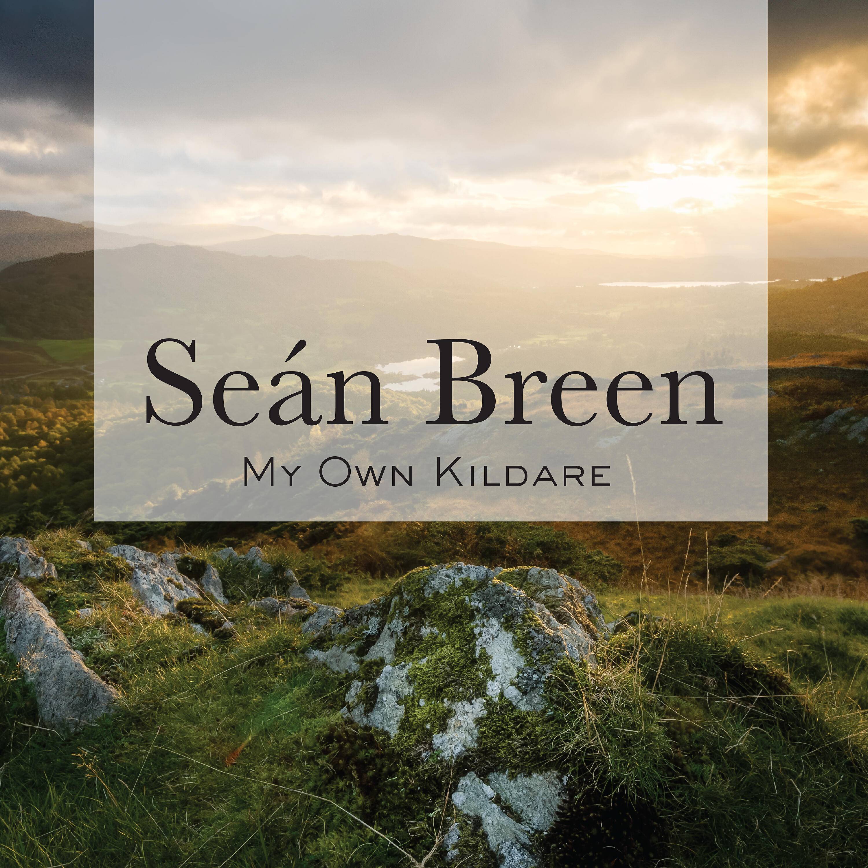 Seán Breen - The Jug of Punch