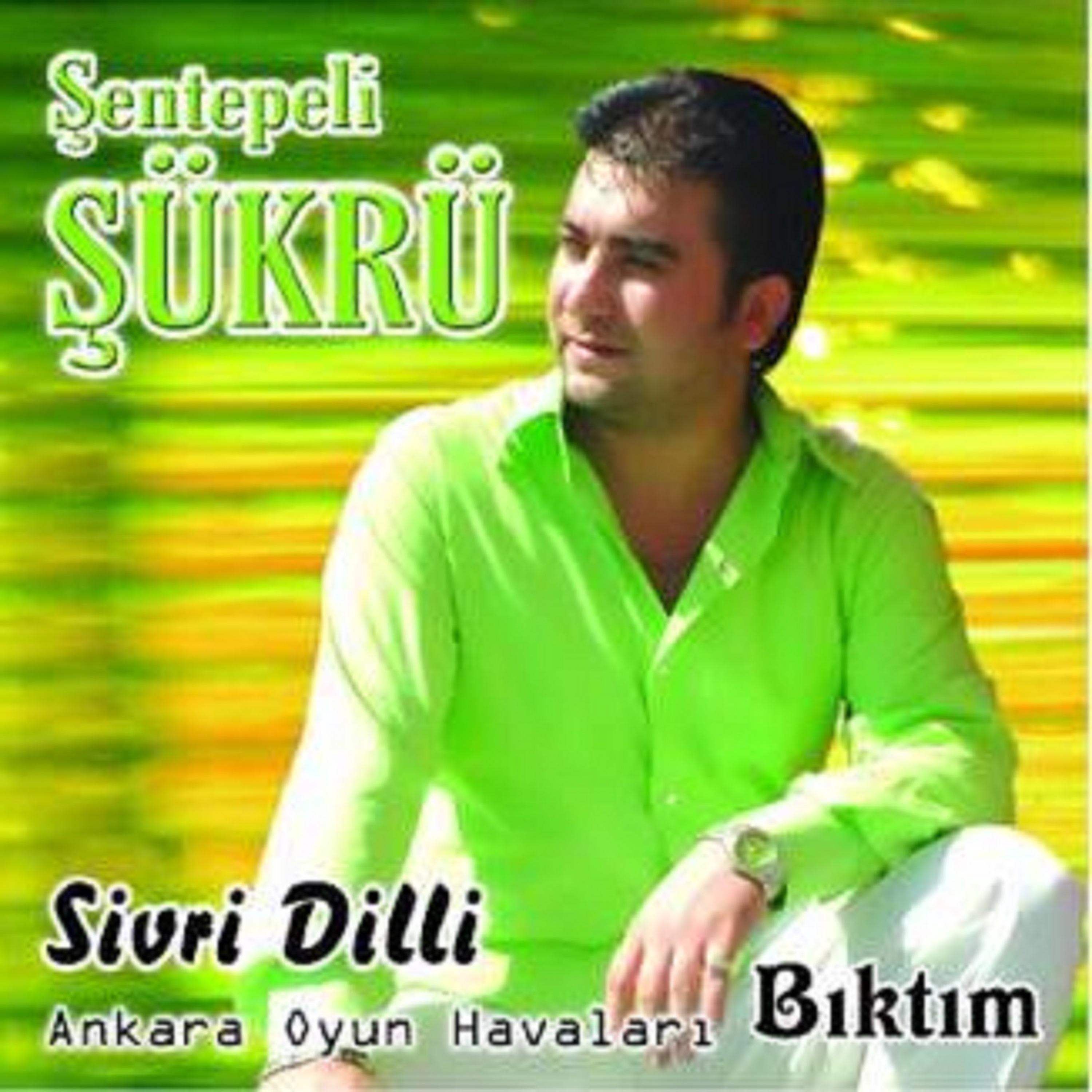 Постер альбома Sivri Dilli / Bıktım