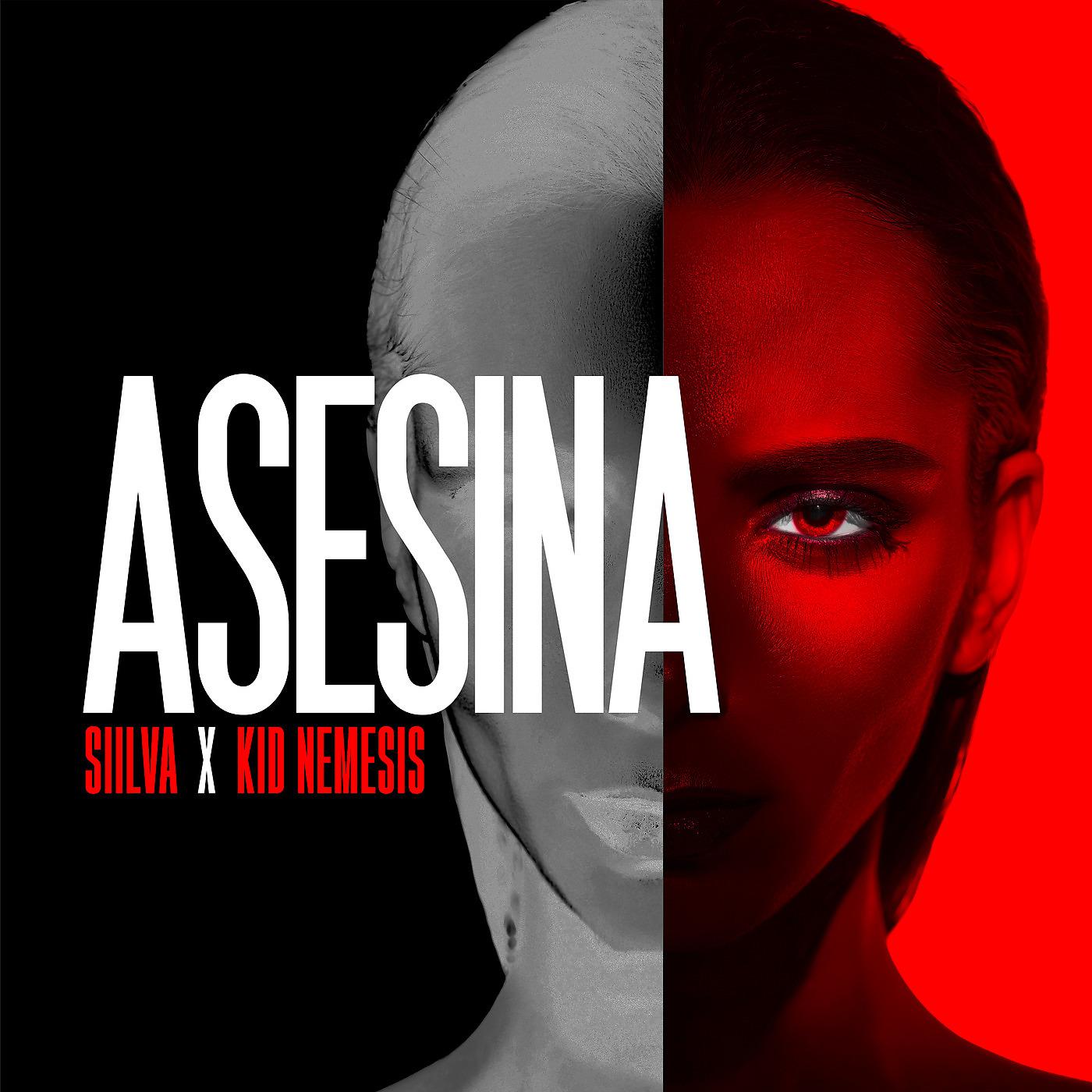 Постер альбома Asesina