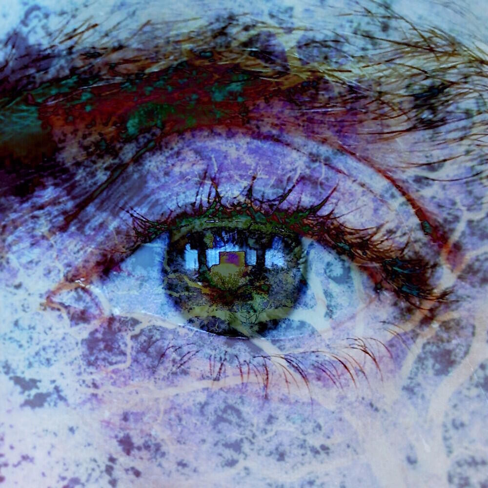 the heart is awake - vii