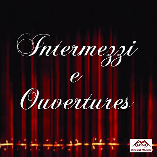 Elisabetta Maschio - Gaetano Donizetti: Sinfonia: Don Pasquale