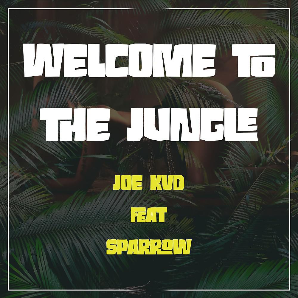 Постер альбома Welcome to The Jungle