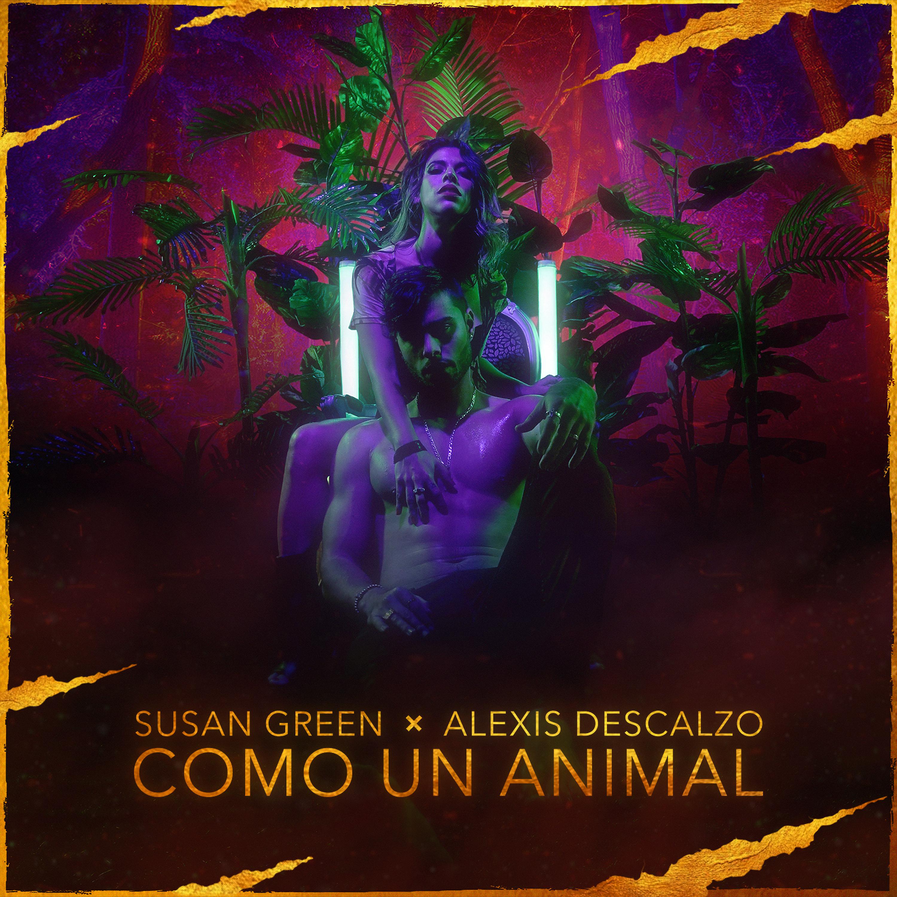Постер альбома Como un Animal