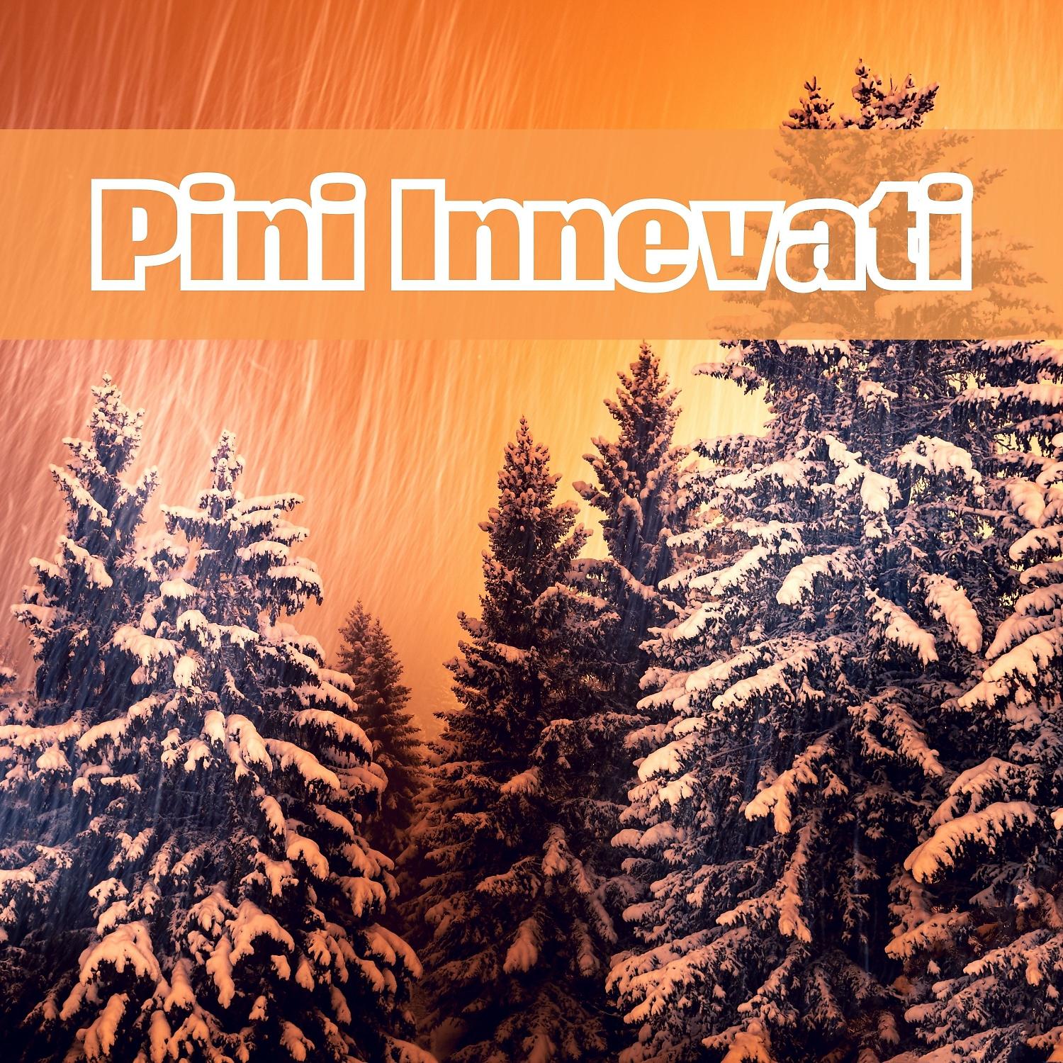 Постер альбома Pini Innevati