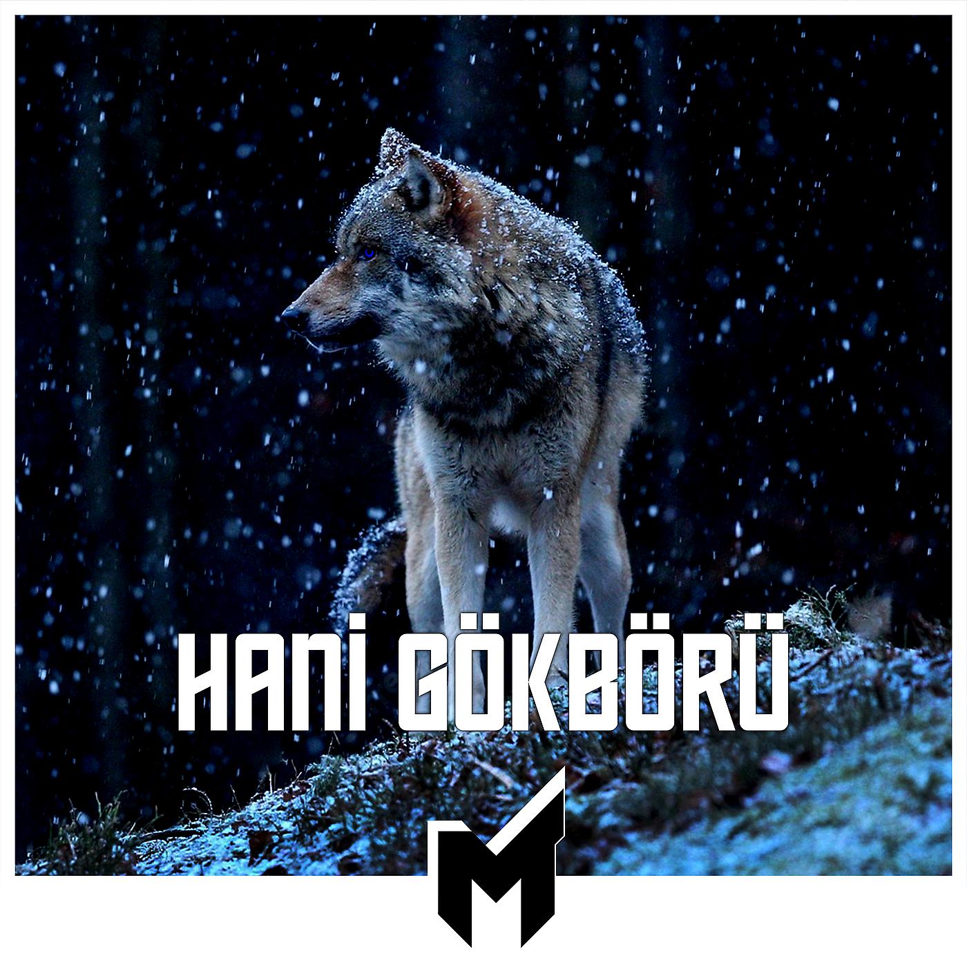 Постер альбома Hani Gökbörü