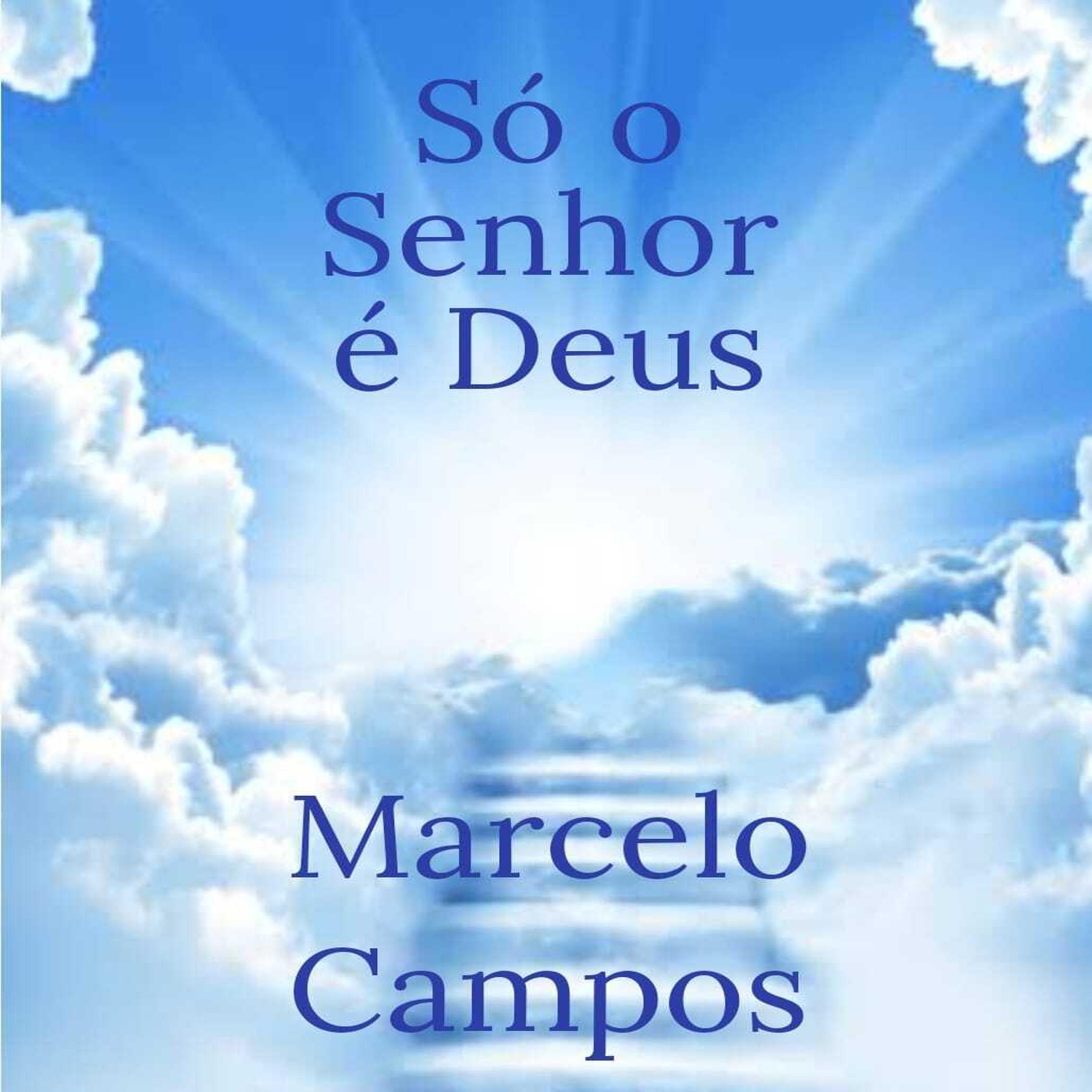 Постер альбома Só o Senhor É Deus