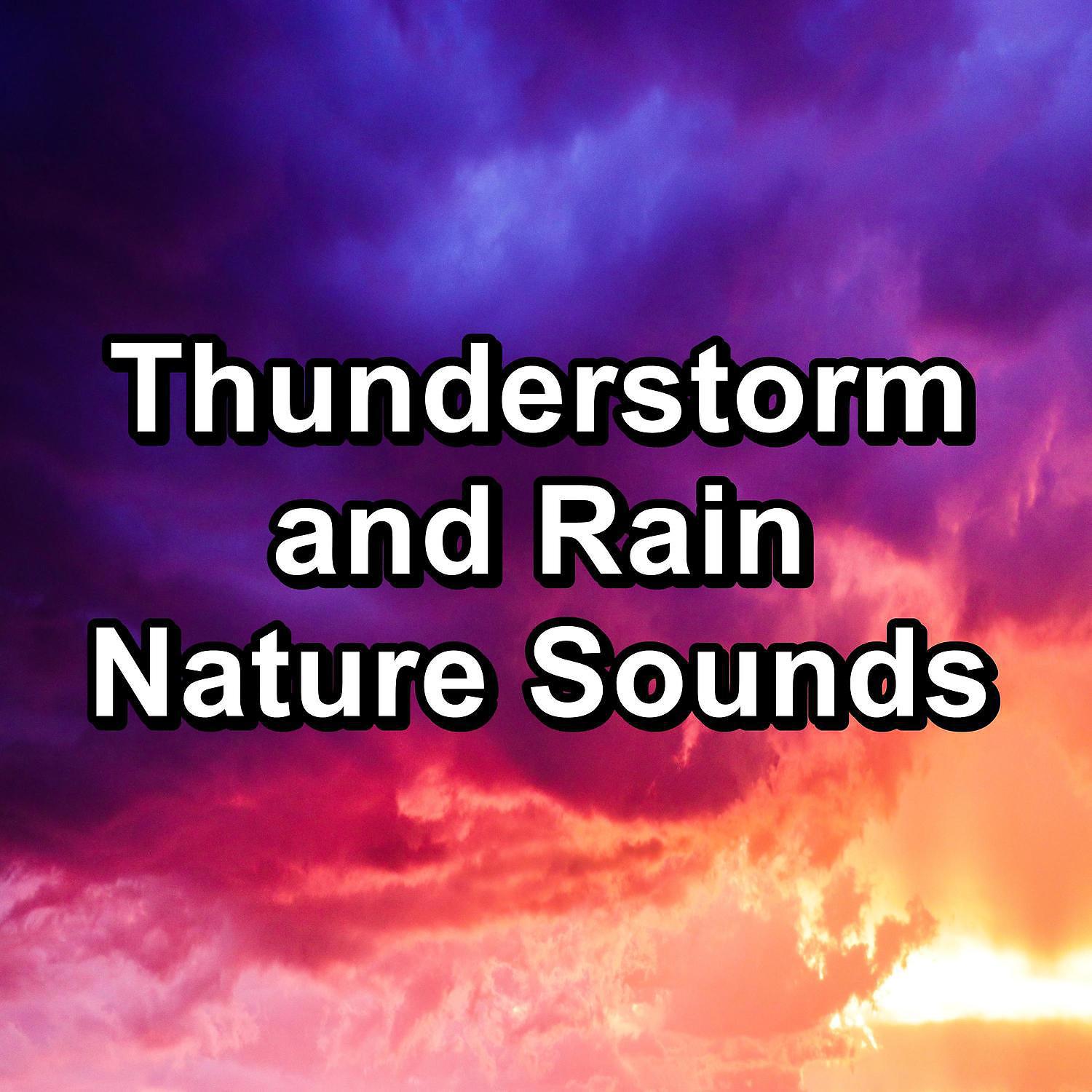 Постер альбома Thunderstorm and Rain Nature Sounds