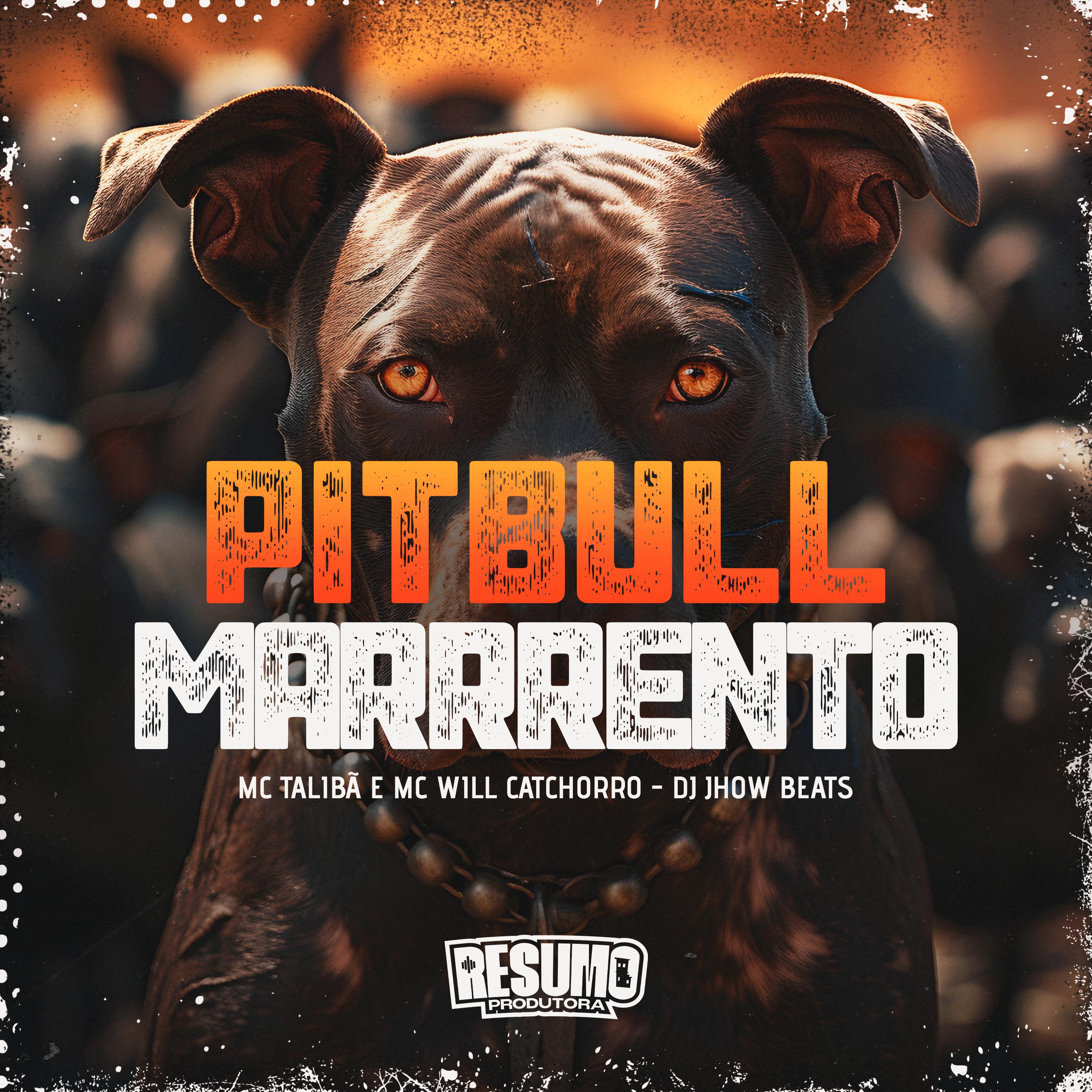 Постер альбома Pitbull Marrento