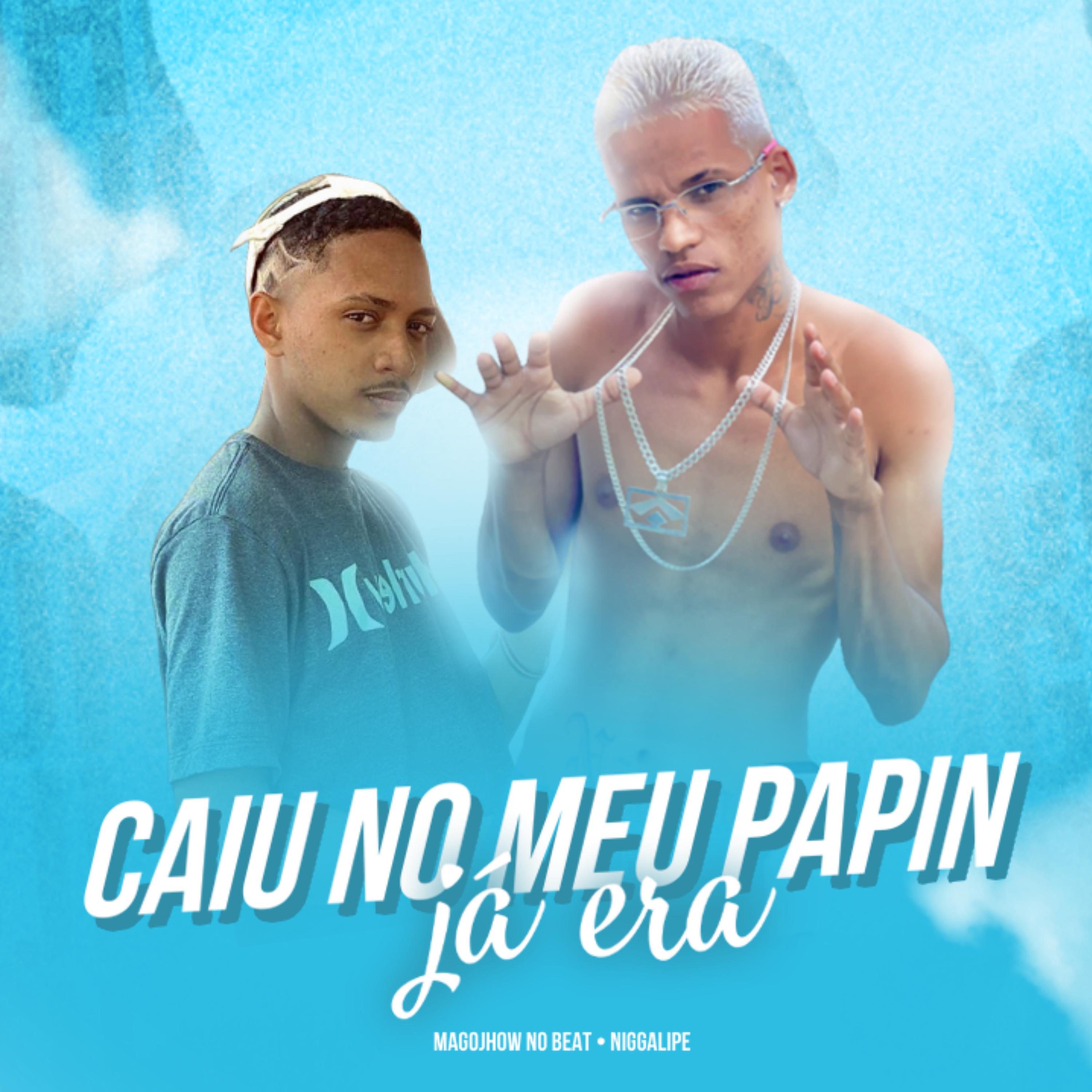 Постер альбома Caiu no Meu Papin Já Era