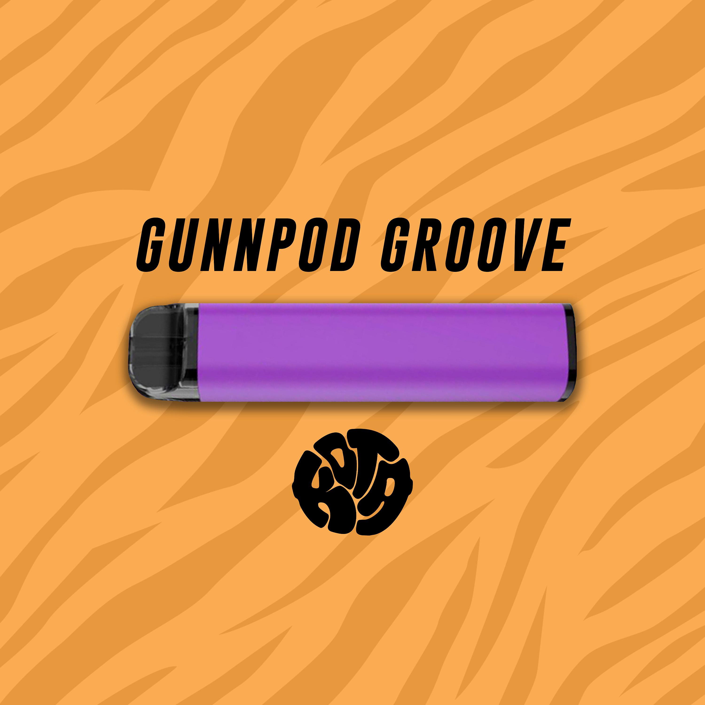 Постер альбома Gunnpod Groove