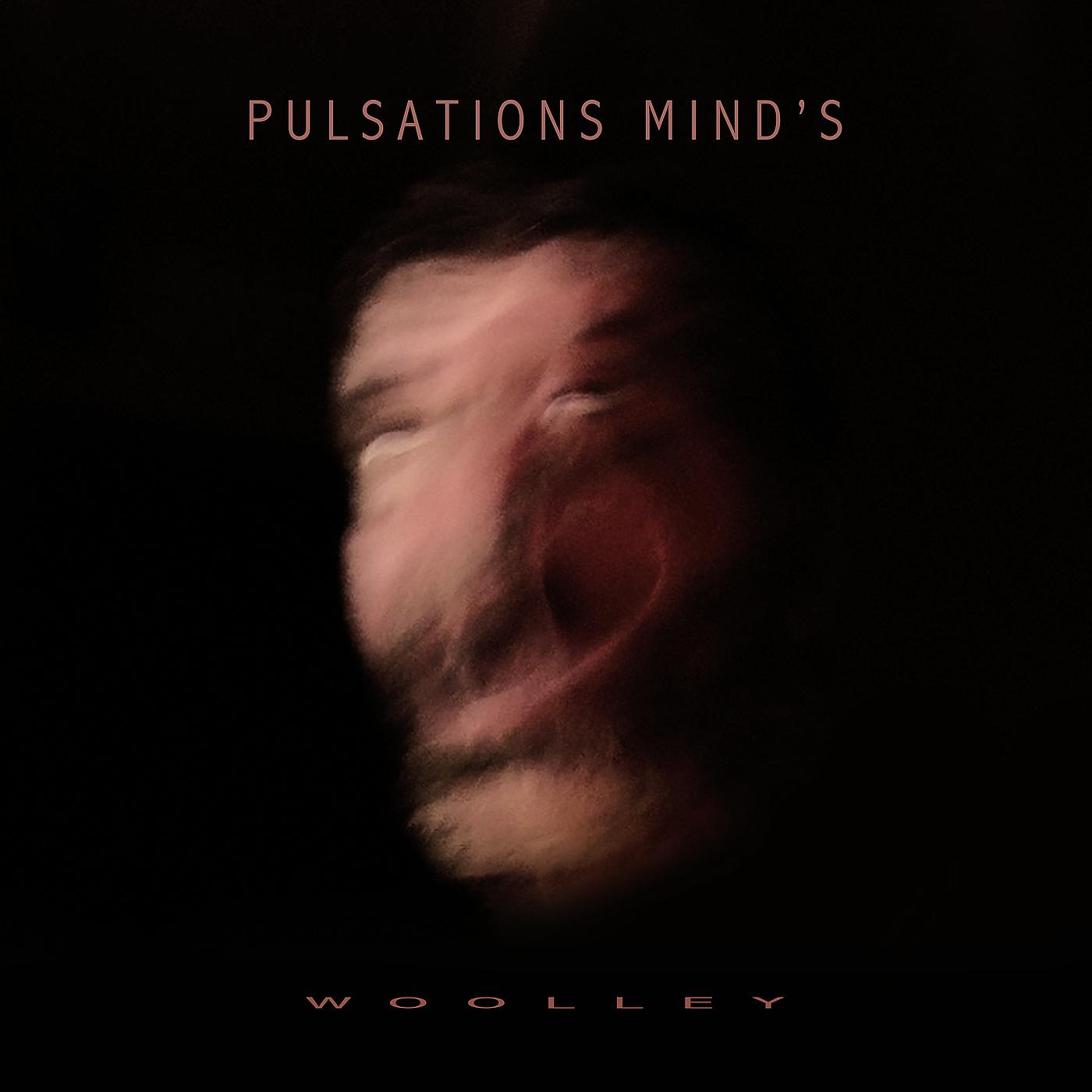 Постер альбома Pulsations Mind's