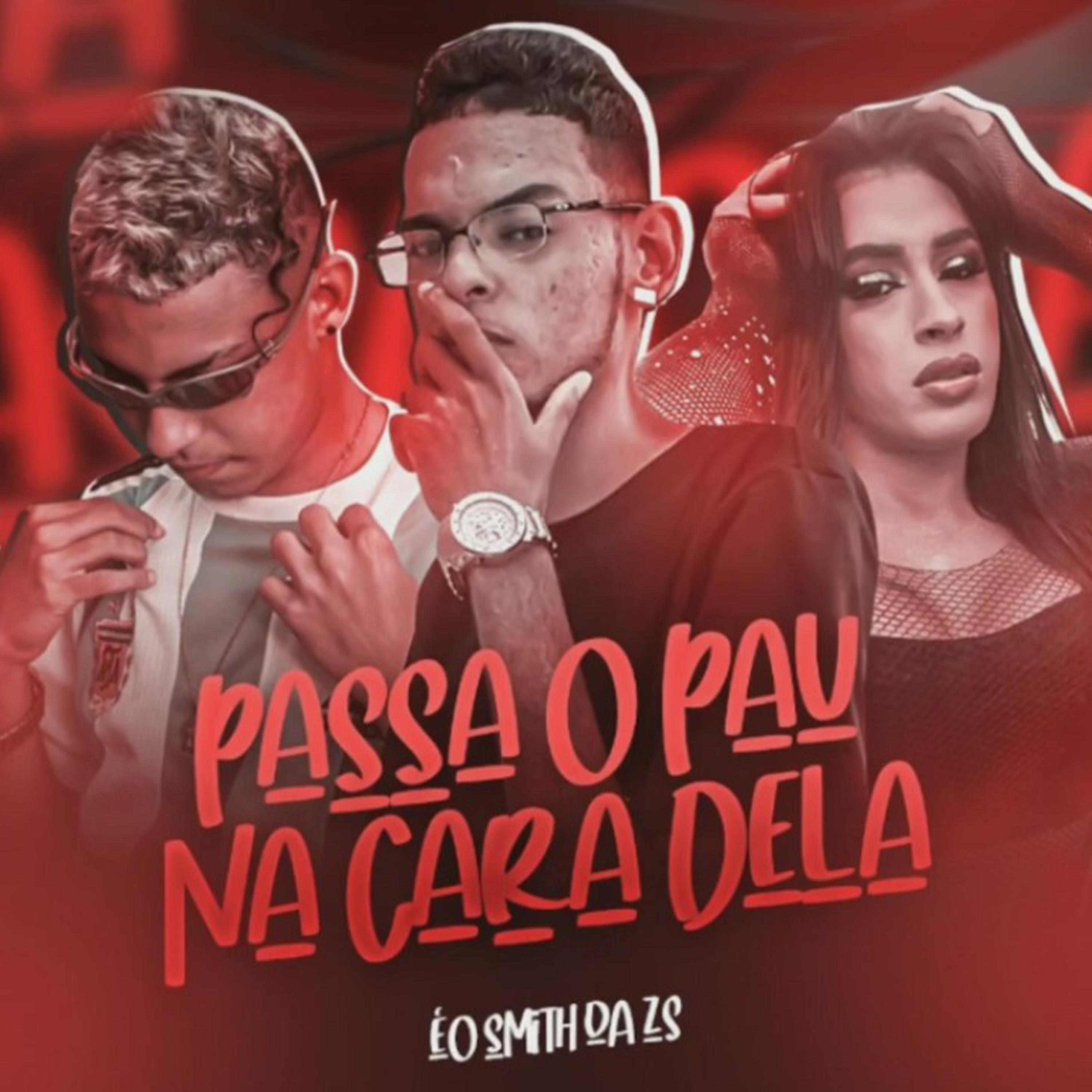 Постер альбома Passa o Pau  na Cara Dela