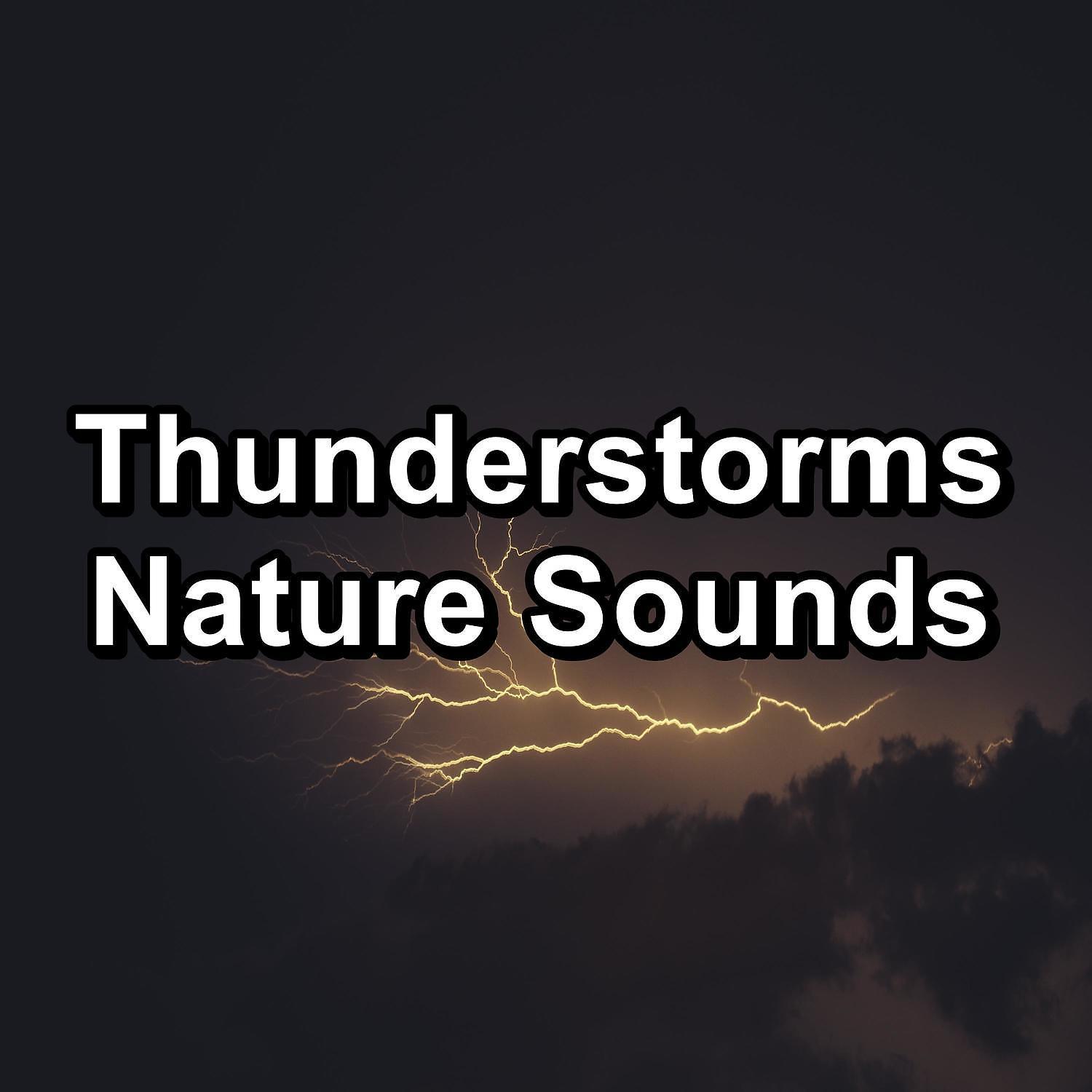 Постер альбома Thunderstorms Nature Sounds