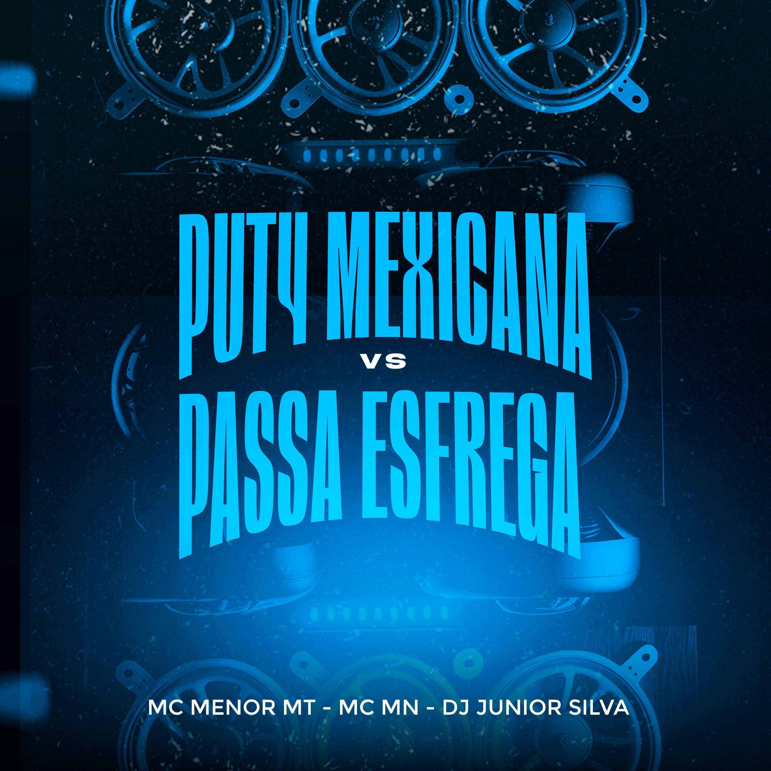 Постер альбома Put4 Mexicana Vs Passa Esfrega