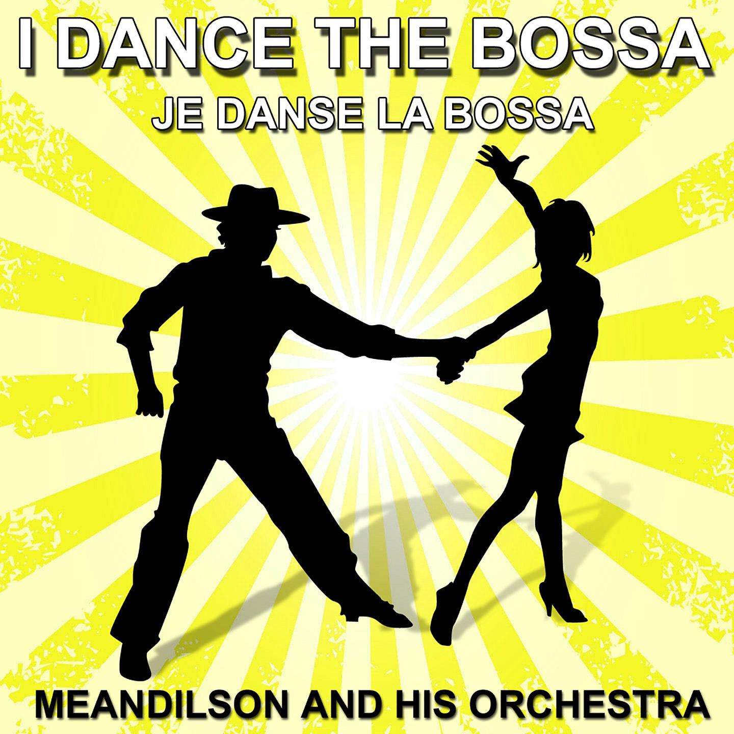 Постер альбома Je danse la bossa
