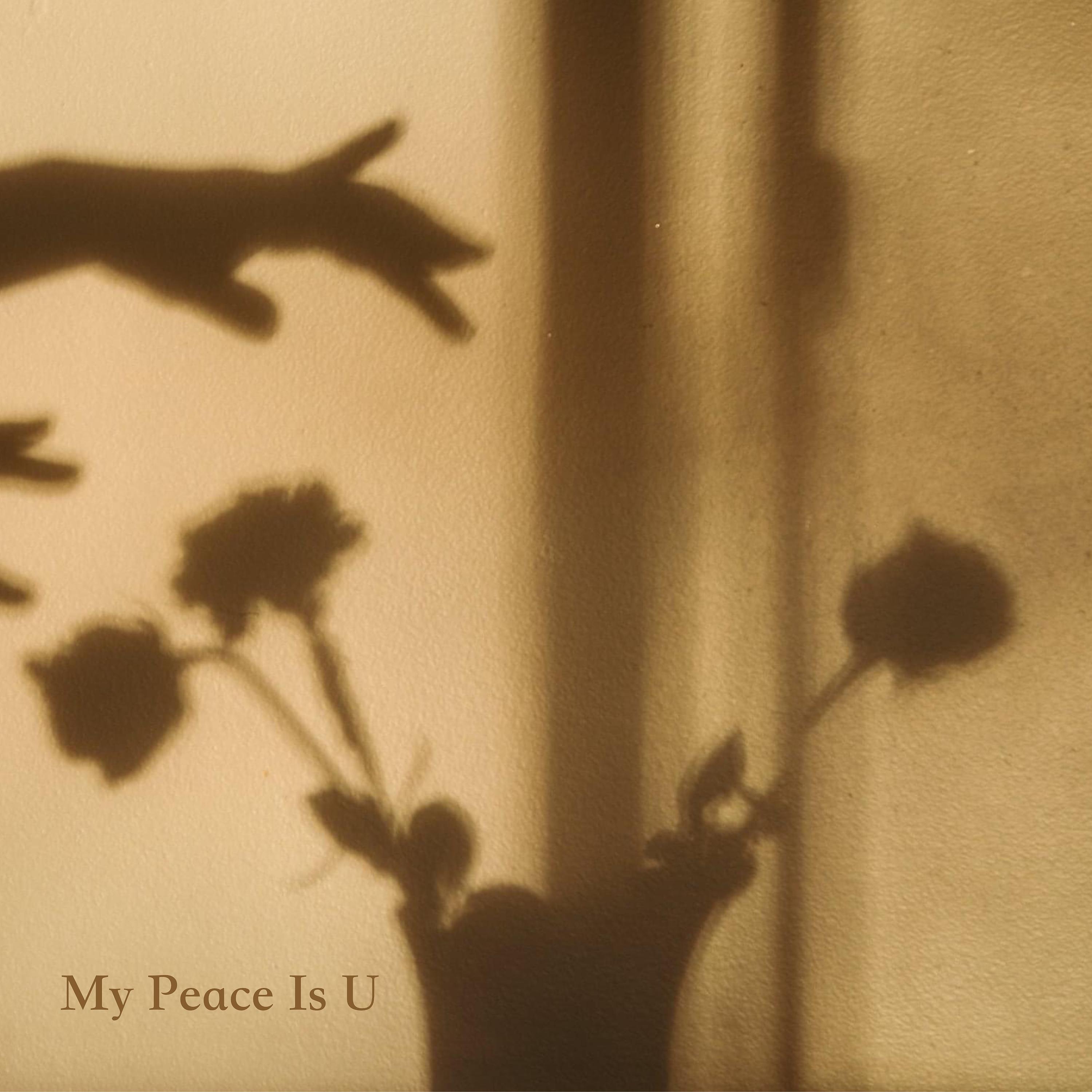 Постер альбома My Peace Is U