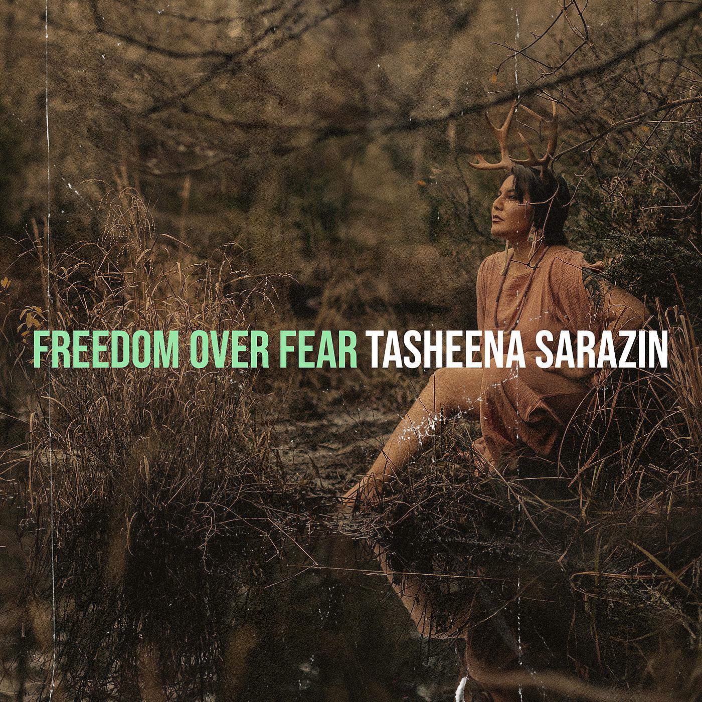Постер альбома Freedom over Fear