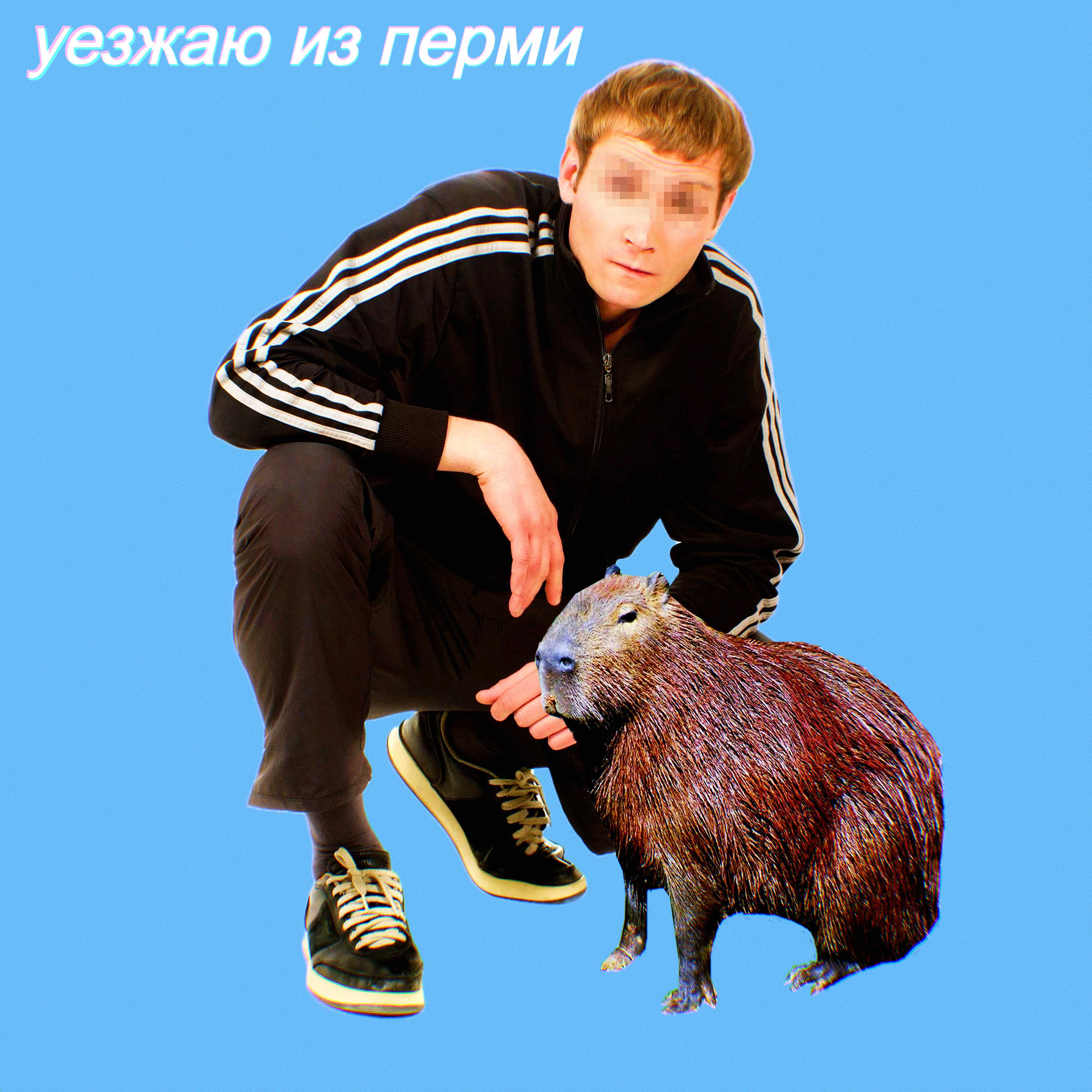 Постер альбома Уезжаю из Перми
