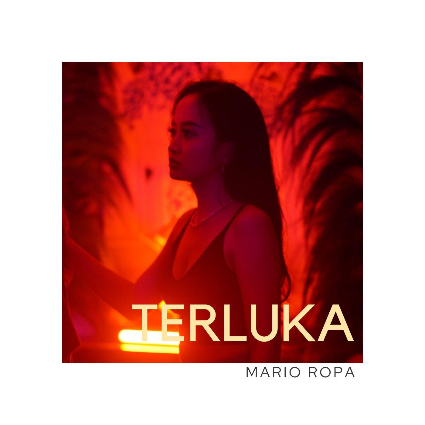 Постер альбома TERLUKA